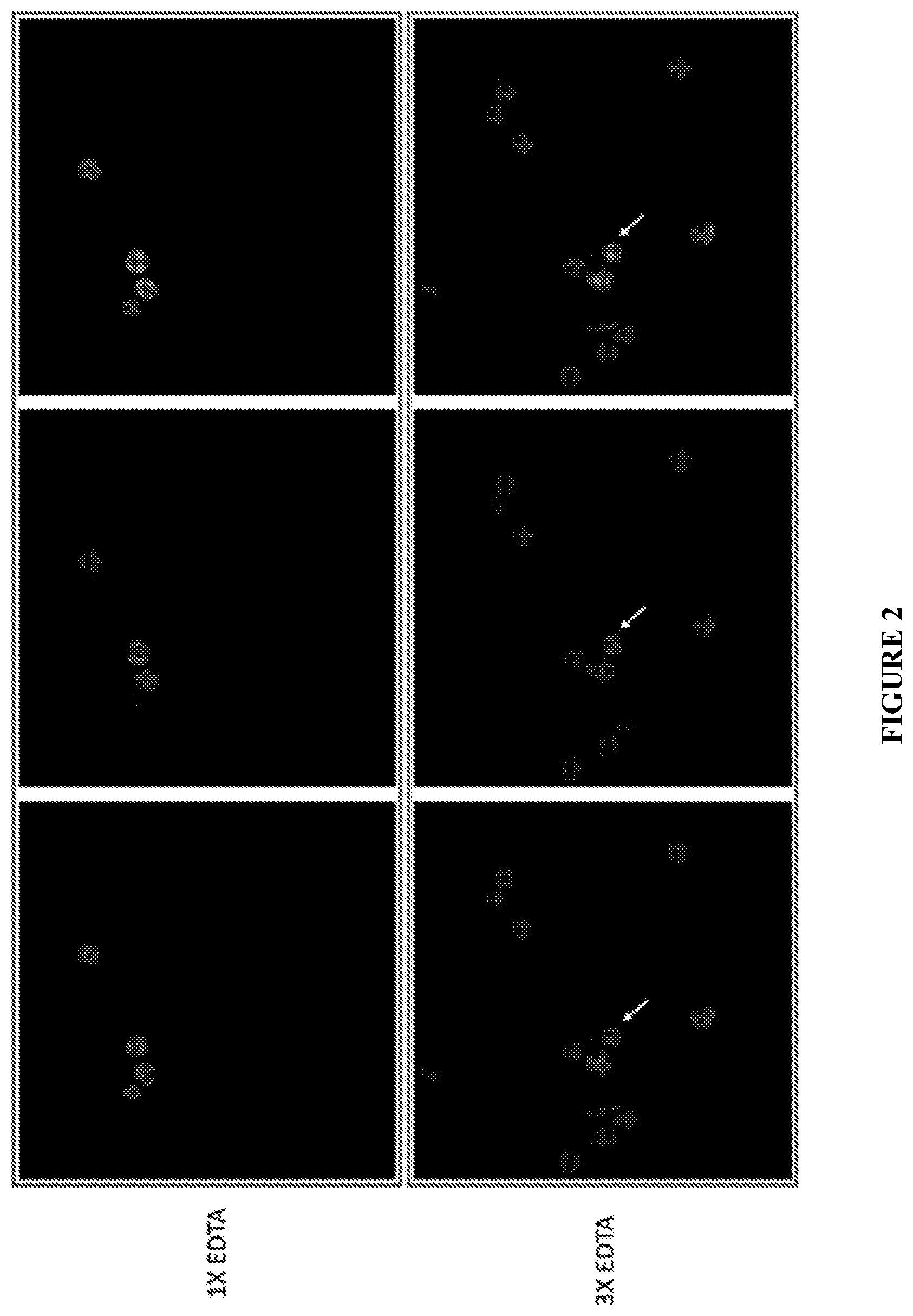 Patent US12455218 Figure 2 – Methods and compositions for reversing platelet clumping