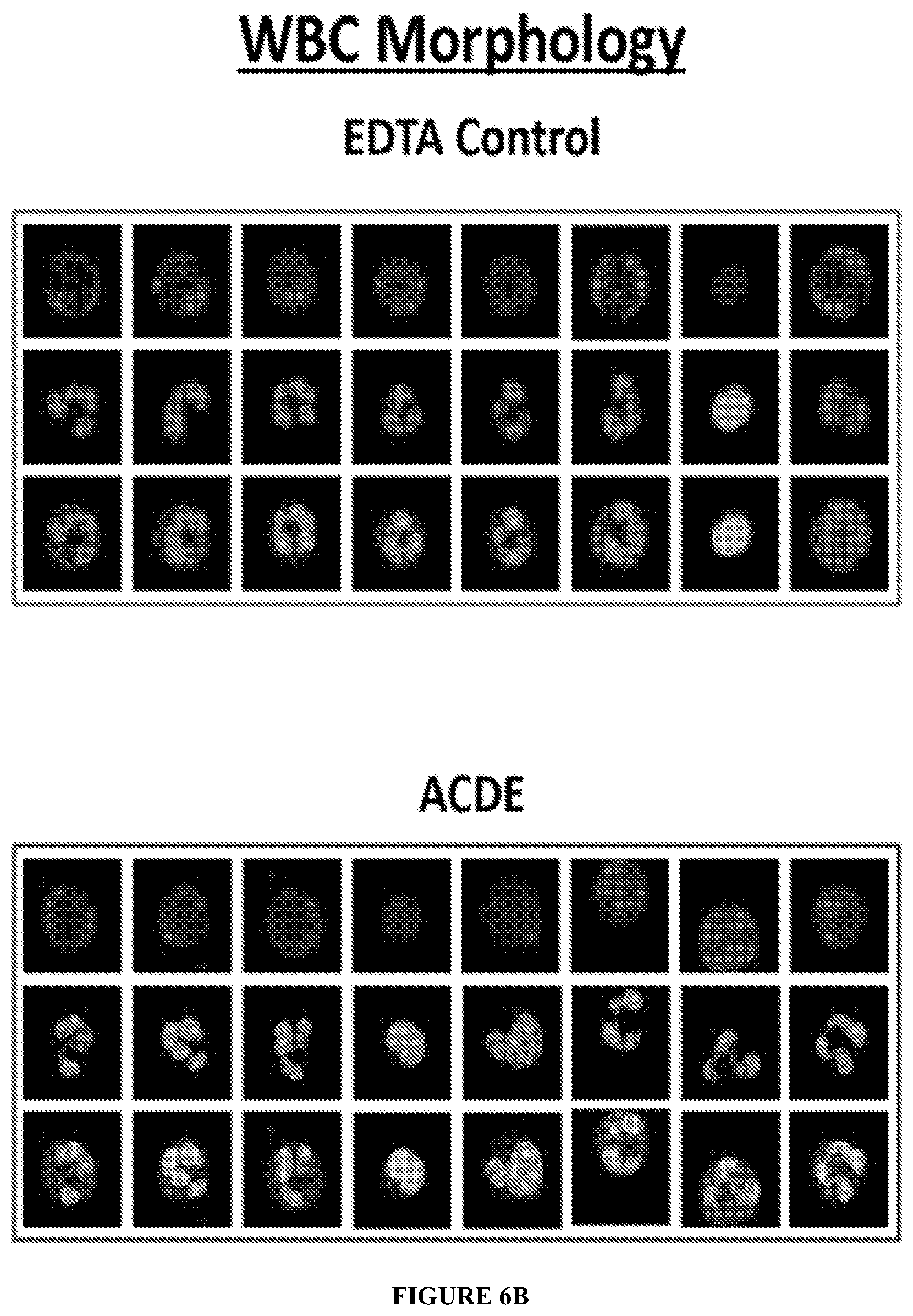 Patent US12455218 Figure 7 – Methods and compositions for reversing platelet clumping