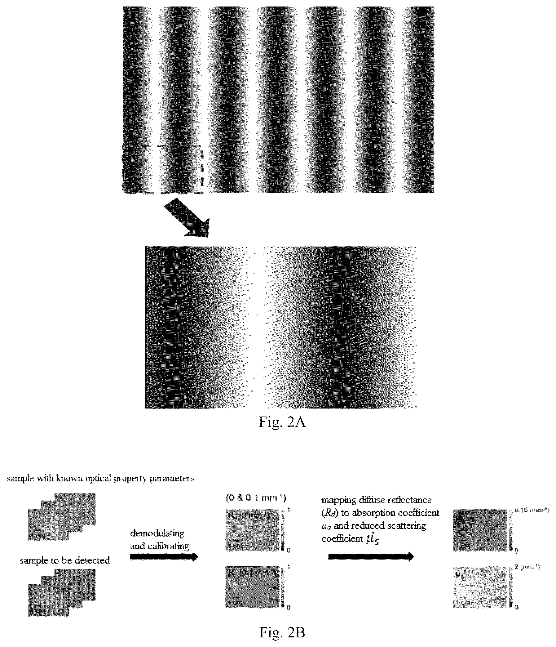 Patent US12455237 Figure 2 – Method, device and system for optical property measurement based on spatial frequency domain imaging