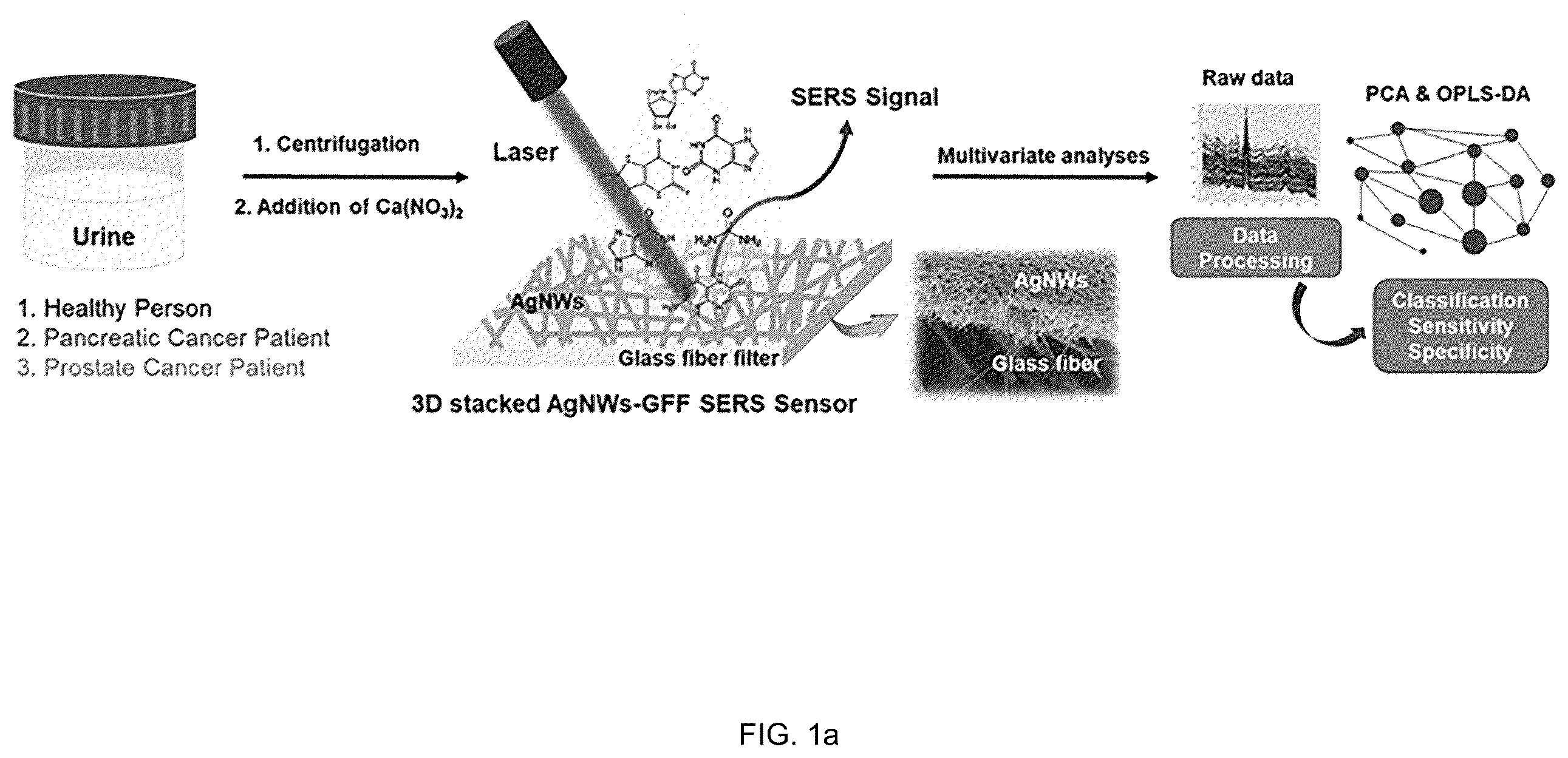 Patent US12455245 — Cancer diagnosis using raman signal of urine — Figure 1