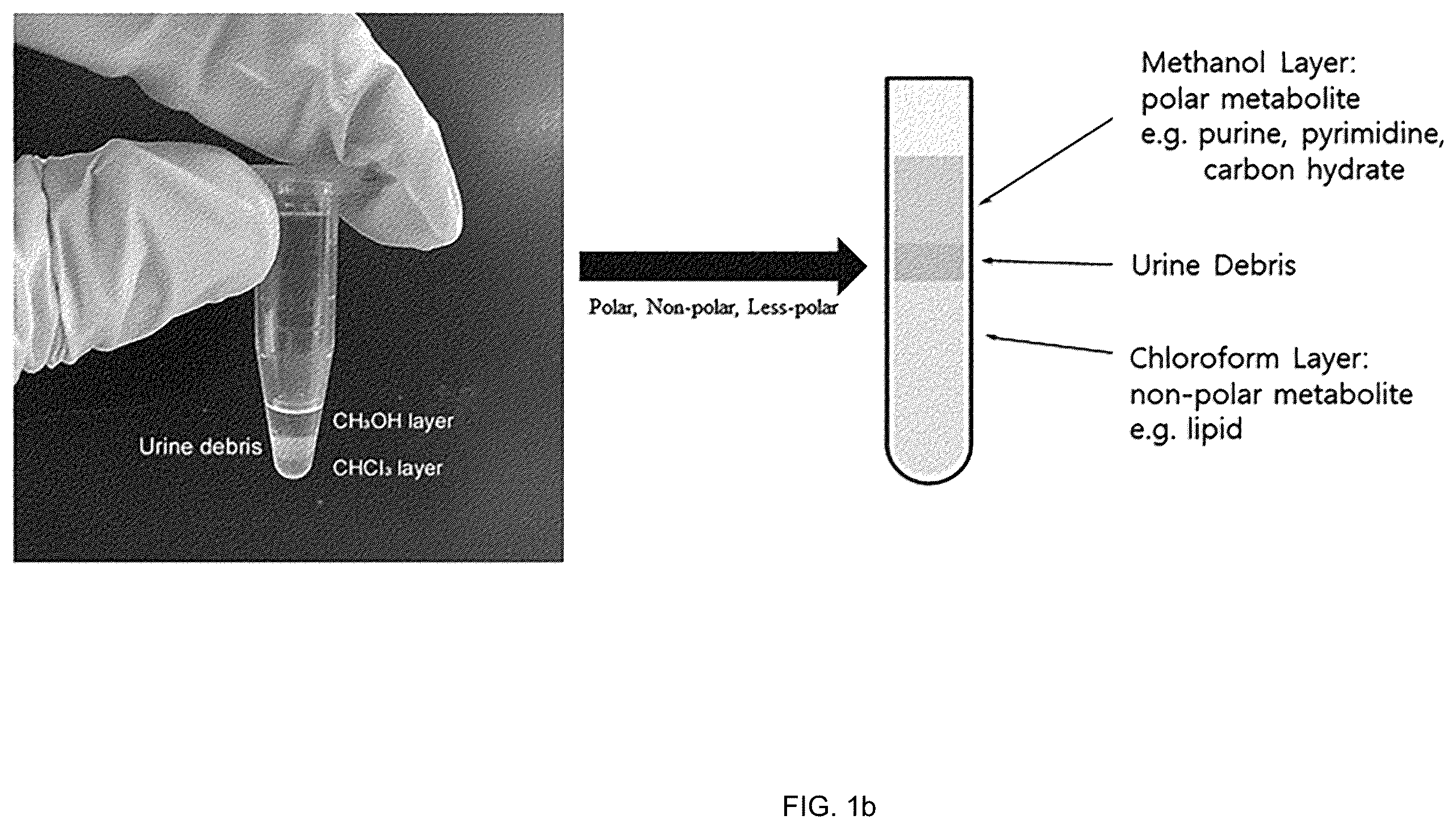 Patent US12455245 Figure 2 – Cancer diagnosis using raman signal of urine