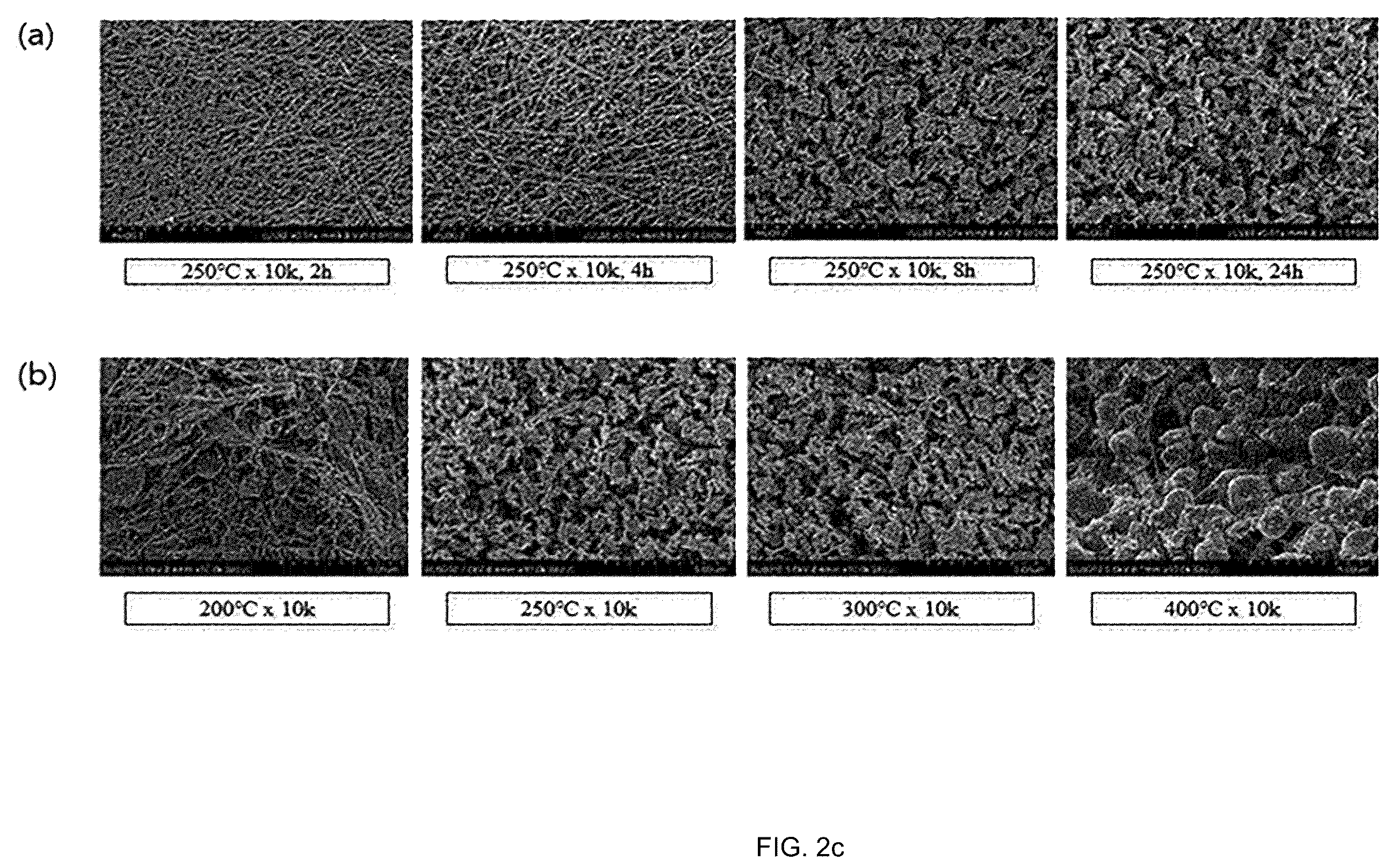 Patent US12455245 Figure 5 – Cancer diagnosis using raman signal of urine