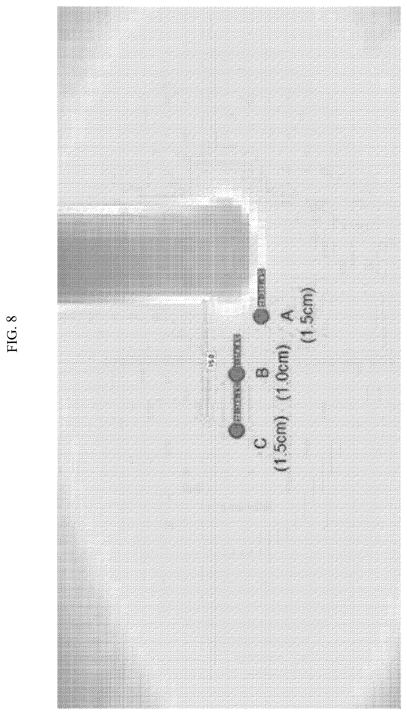 Patent US12455252 Figure 8 – Device and method for evaluating heat resistance properties of separator