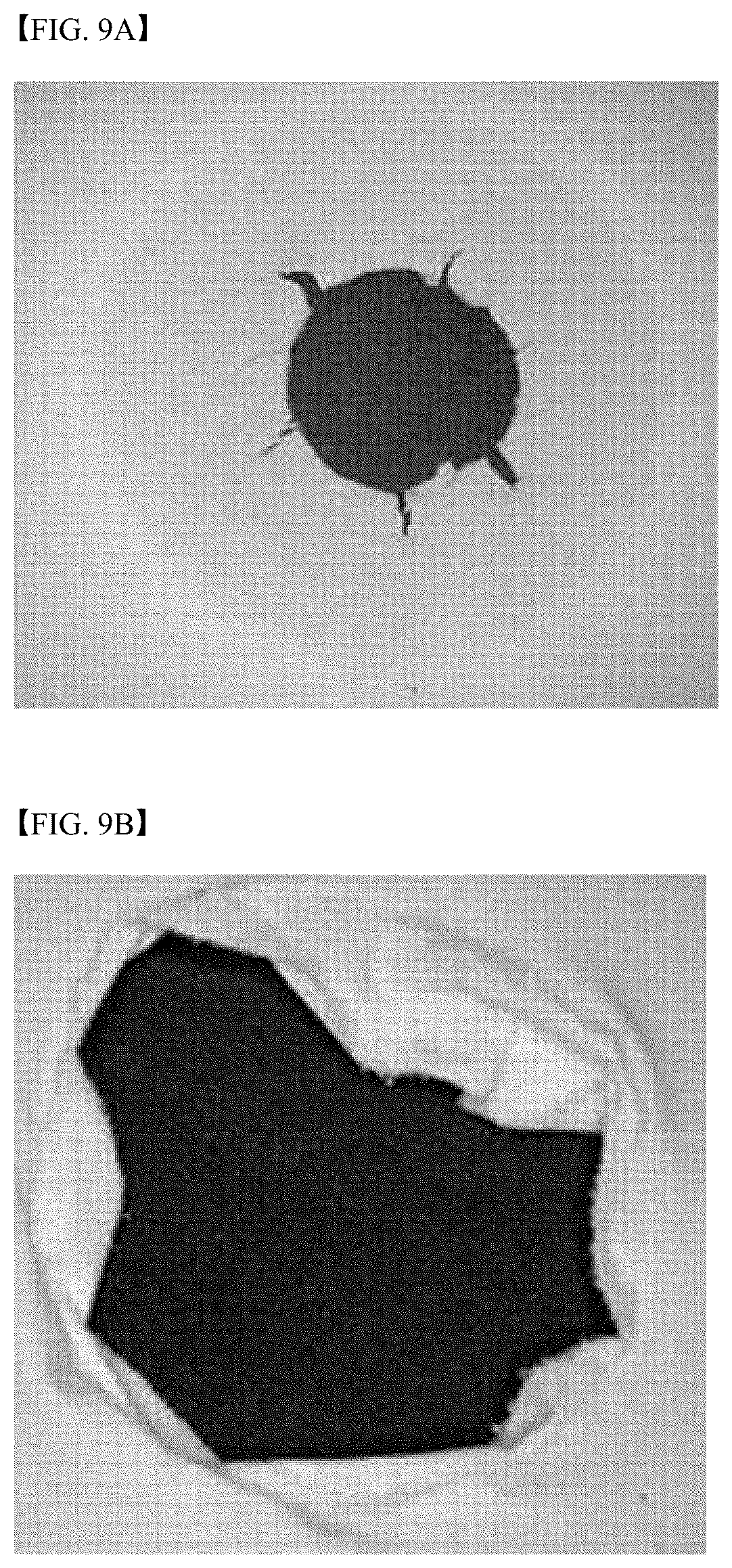 Patent US12455252 Figure 9 – Device and method for evaluating heat resistance properties of separator