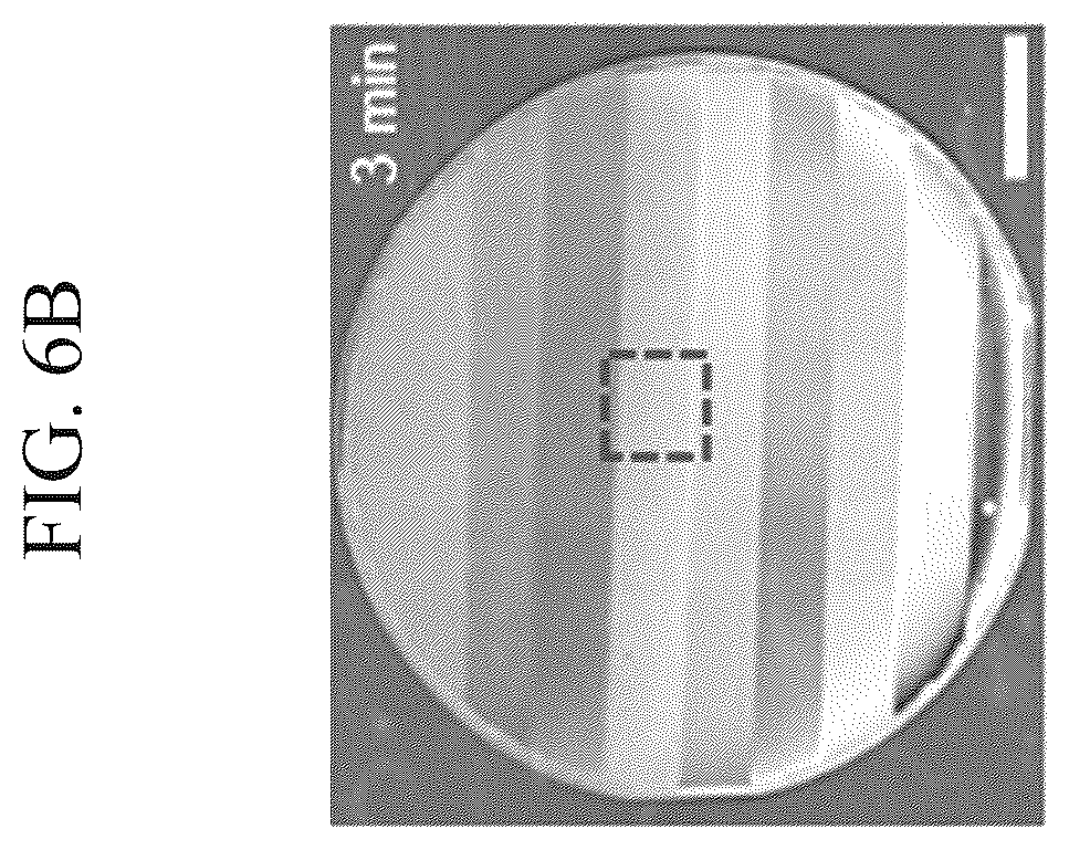 Patent US12455269 Figure 12 – Hydrogen sensing device that can visually detect the presence of hydrogen through color change according to the water formation reaction