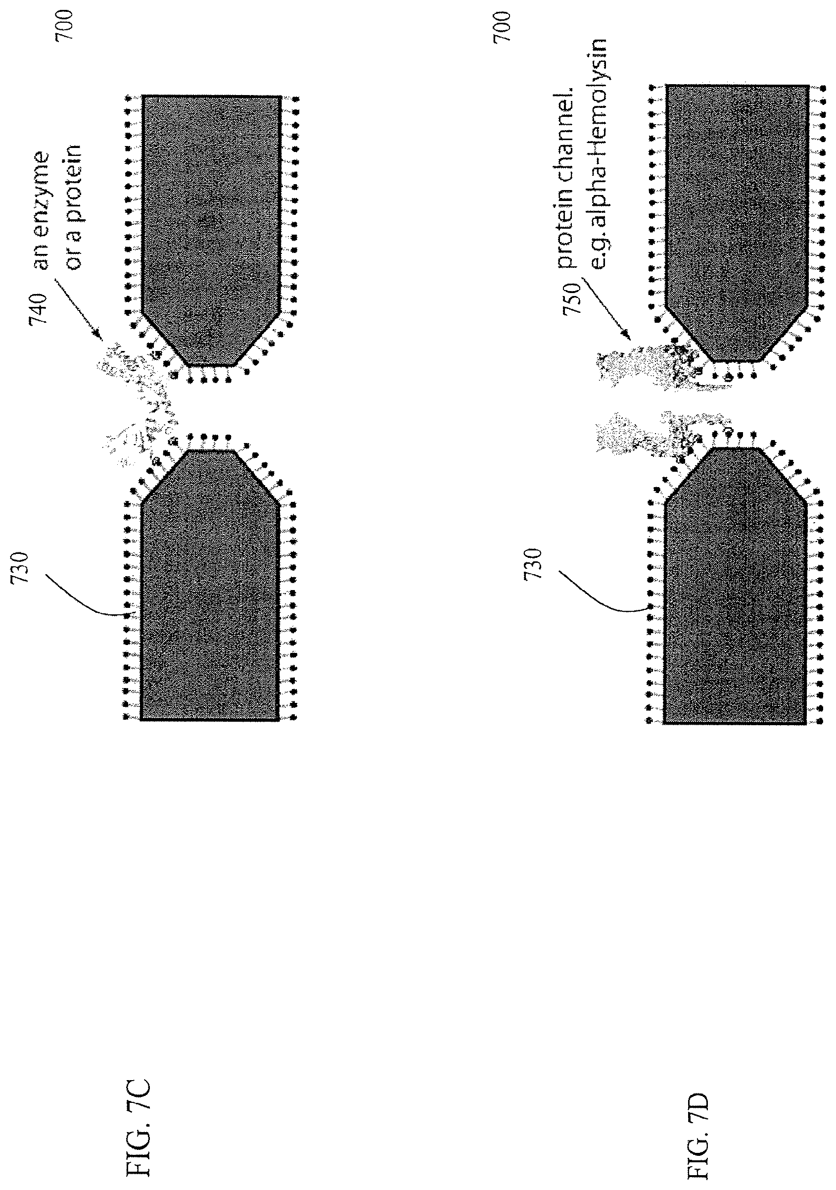 Patent US12455276 Figure 8 – Chemical functionalization of solid-state nanopores and nanopore arrays and applications thereof