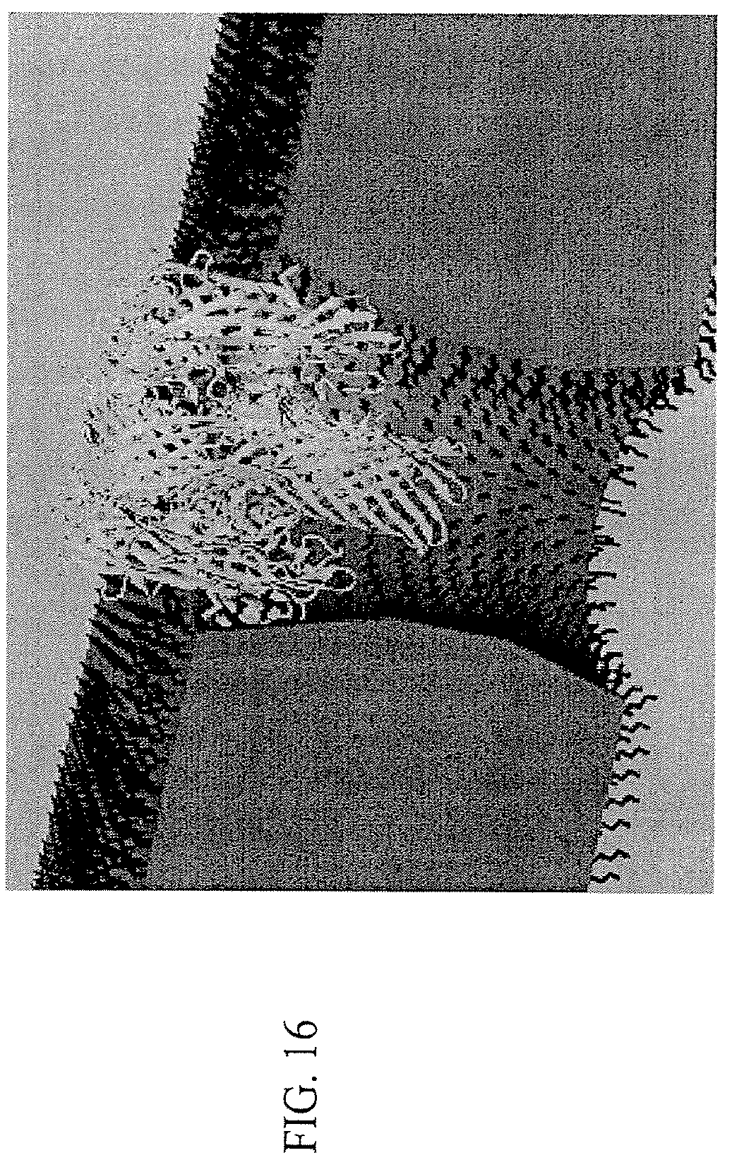 Patent US12455276 Figure 17 – Chemical functionalization of solid-state nanopores and nanopore arrays and applications thereof
