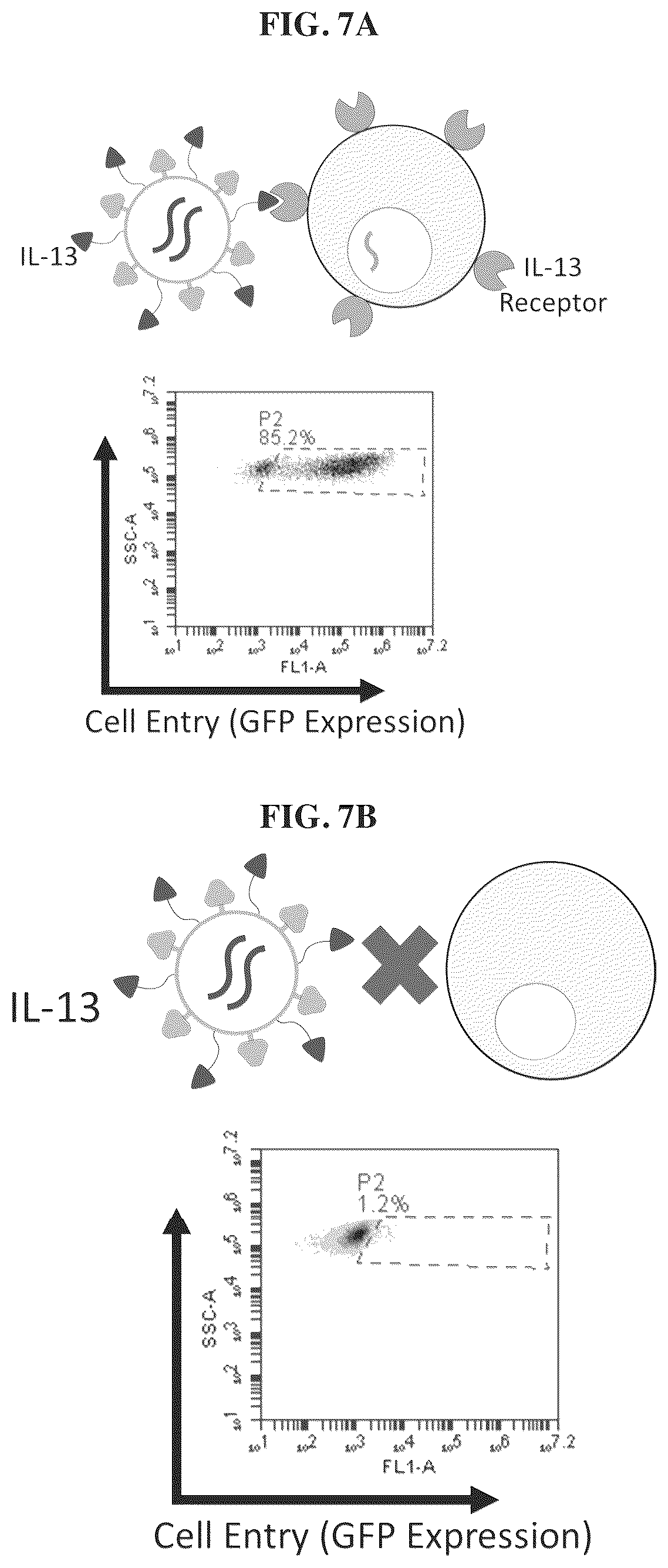 Patent US12455280 Figure 7 – Ligand discovery and gene delivery via retroviral surface display