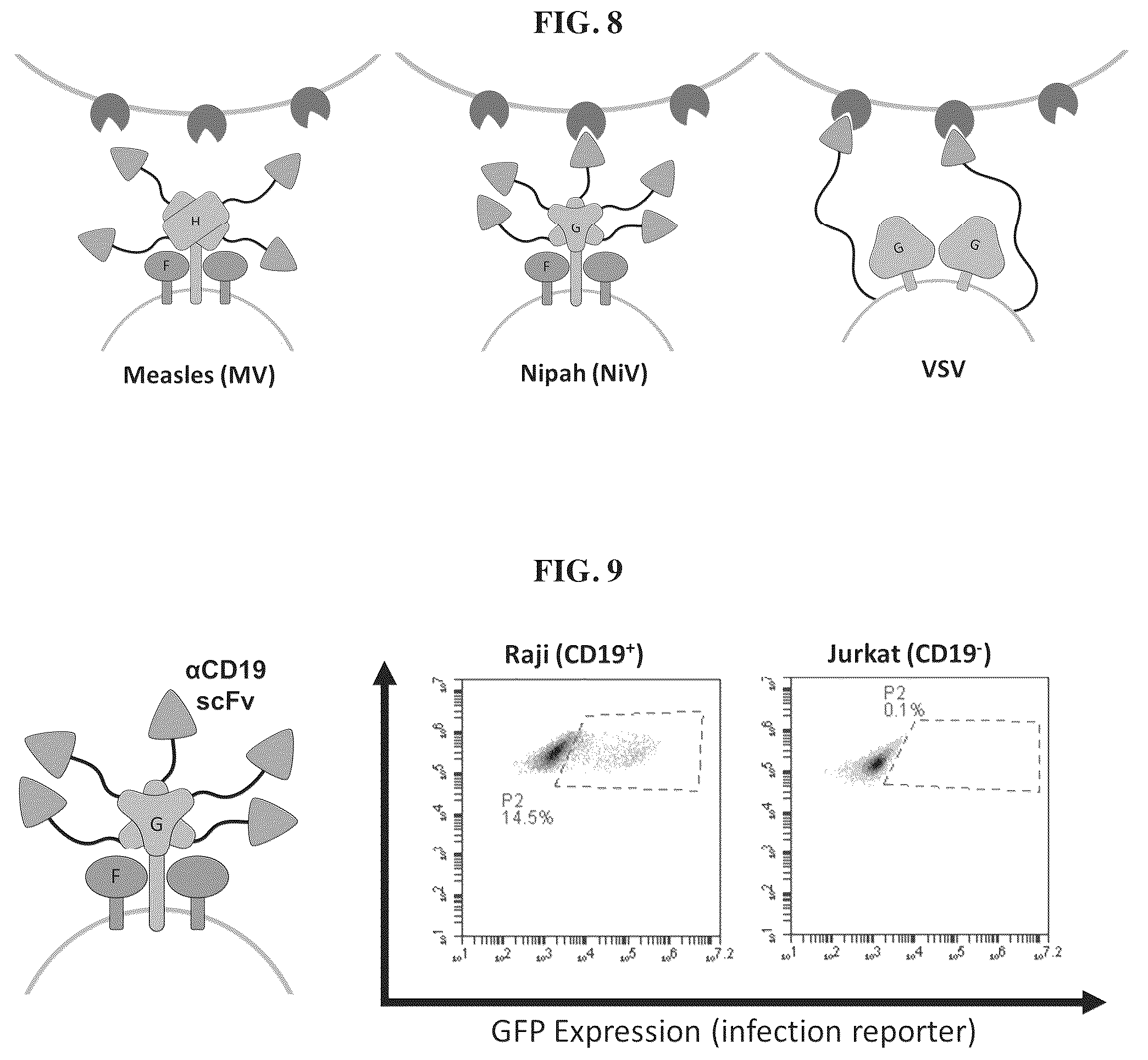 Patent US12455280 Figure 8 – Ligand discovery and gene delivery via retroviral surface display