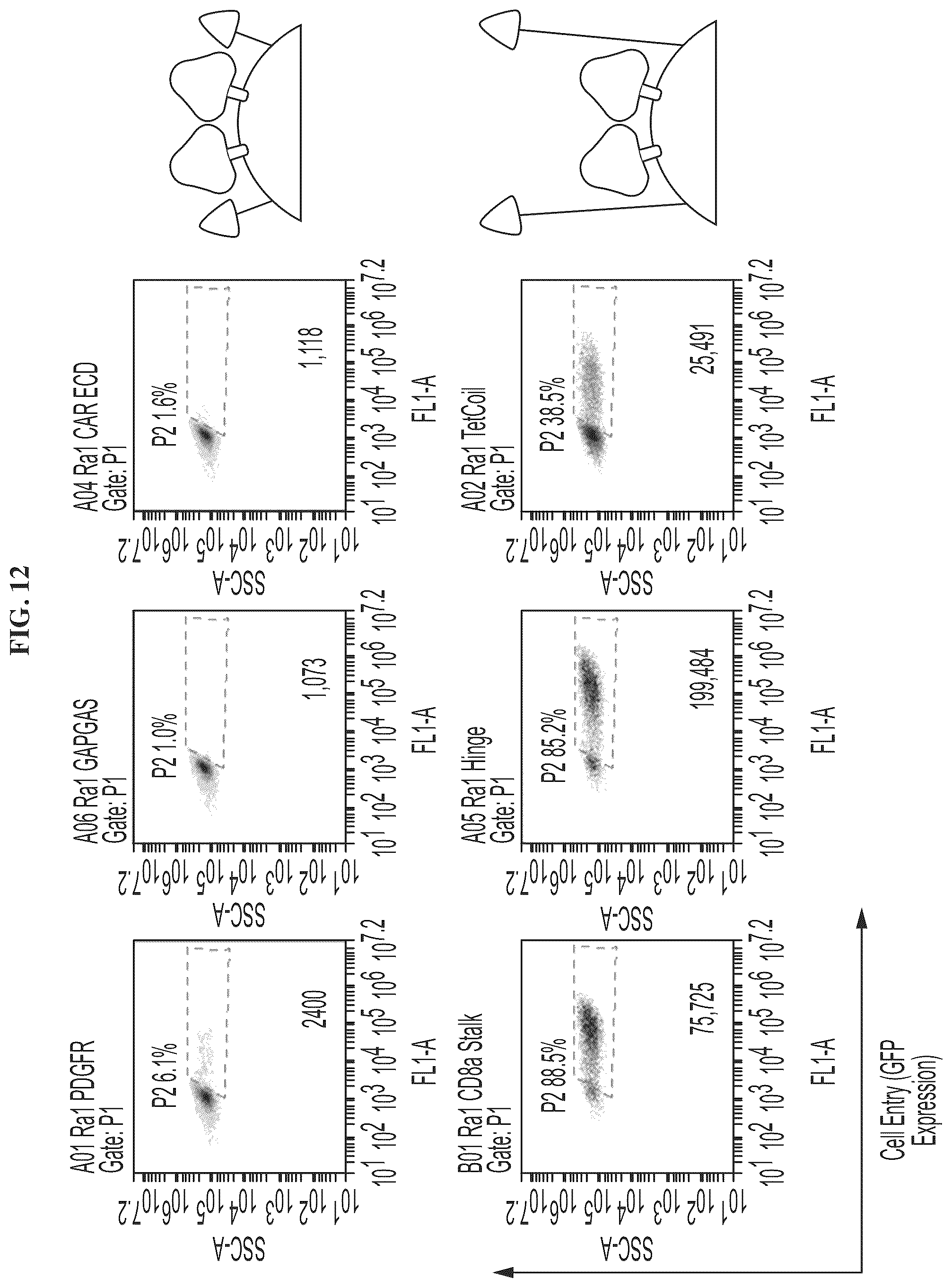 Patent US12455280 Figure 12 – Ligand discovery and gene delivery via retroviral surface display