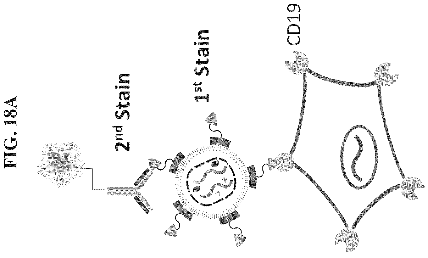 Patent US12455280 Figure 17 – Ligand discovery and gene delivery via retroviral surface display