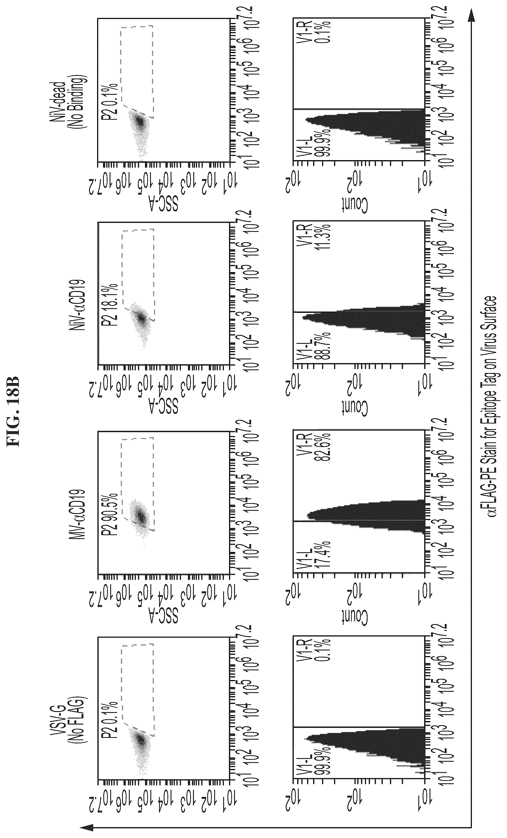 Patent US12455280 Figure 18 – Ligand discovery and gene delivery via retroviral surface display