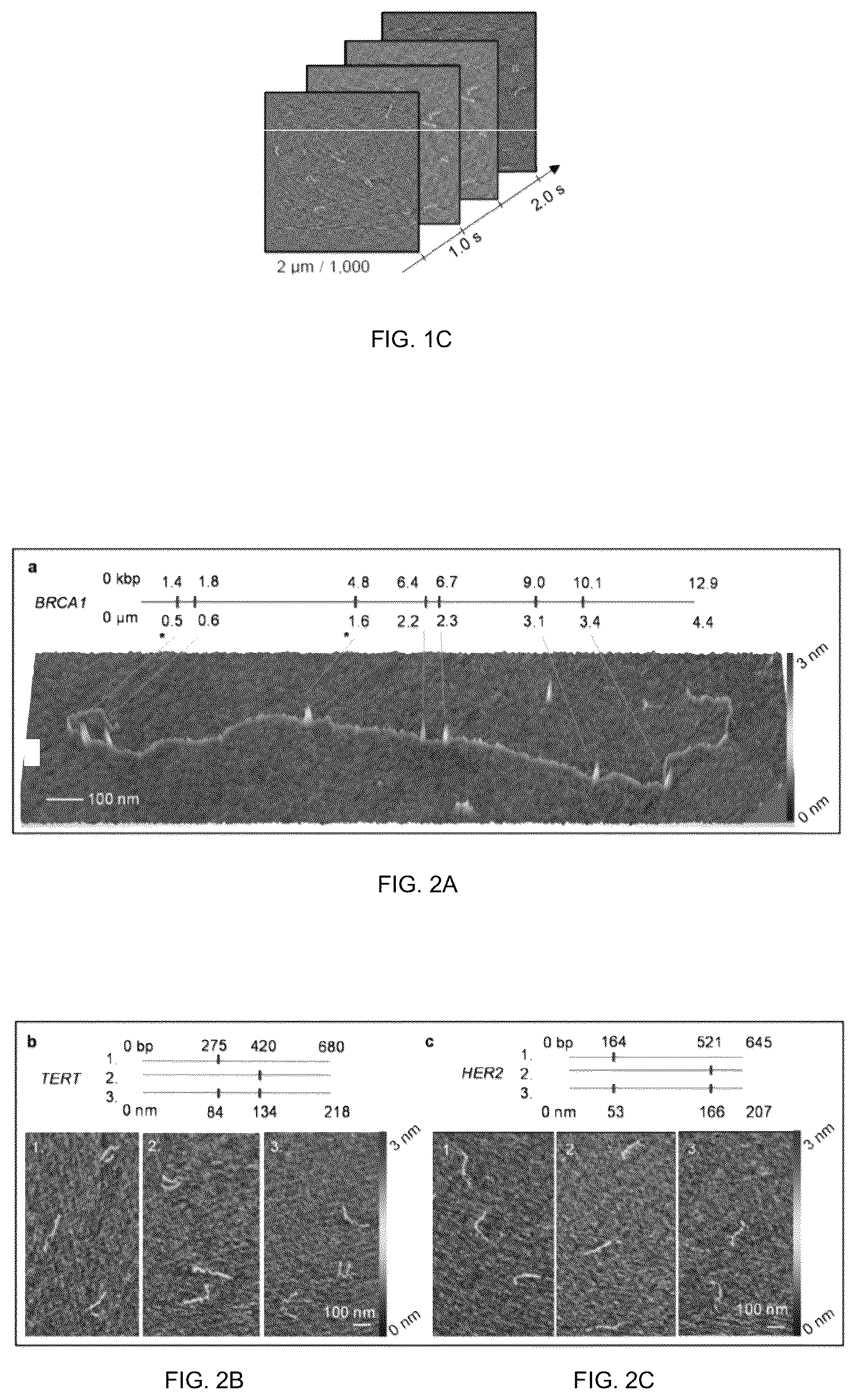 Patent US12455296 Figure 3 – System, method, computer-accessible medium and apparatus for DNA mapping