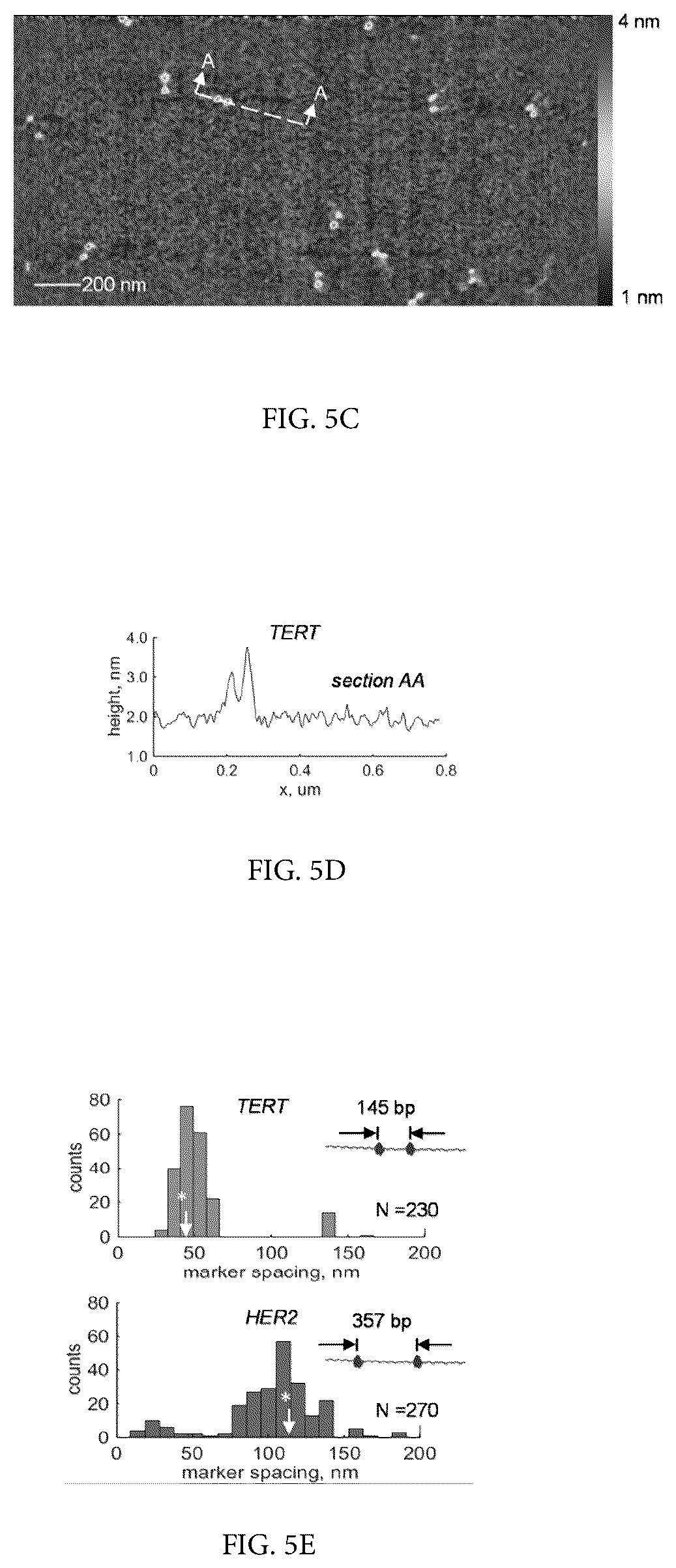 Patent US12455296 Figure 8 – System, method, computer-accessible medium and apparatus for DNA mapping