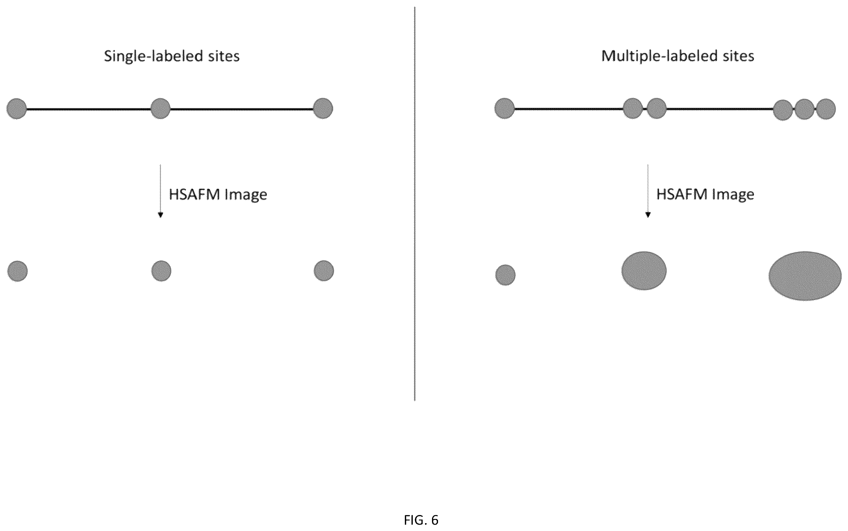 Patent US12455296 Figure 9 – System, method, computer-accessible medium and apparatus for DNA mapping