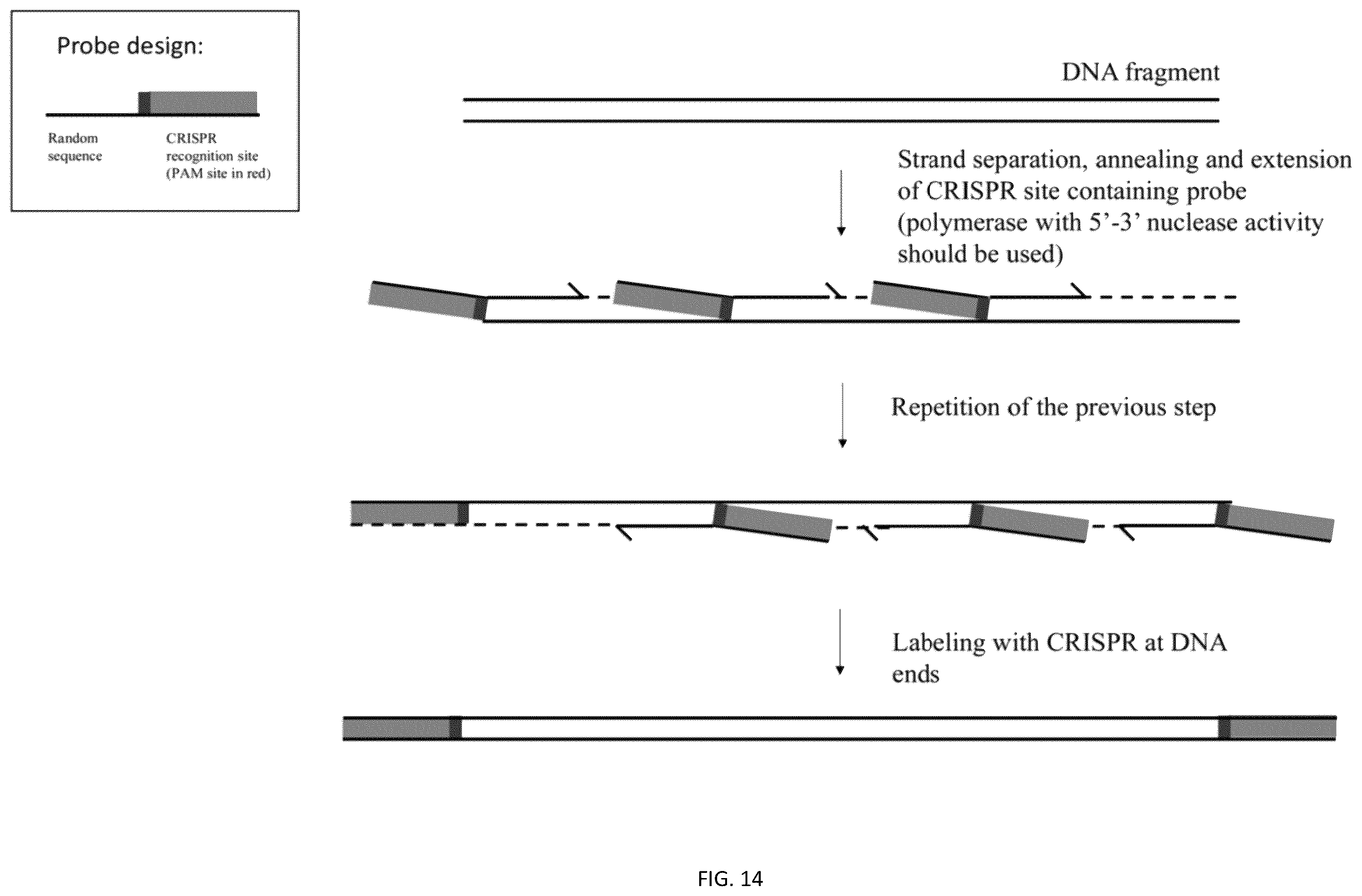 Patent US12455296 Figure 19 – System, method, computer-accessible medium and apparatus for DNA mapping