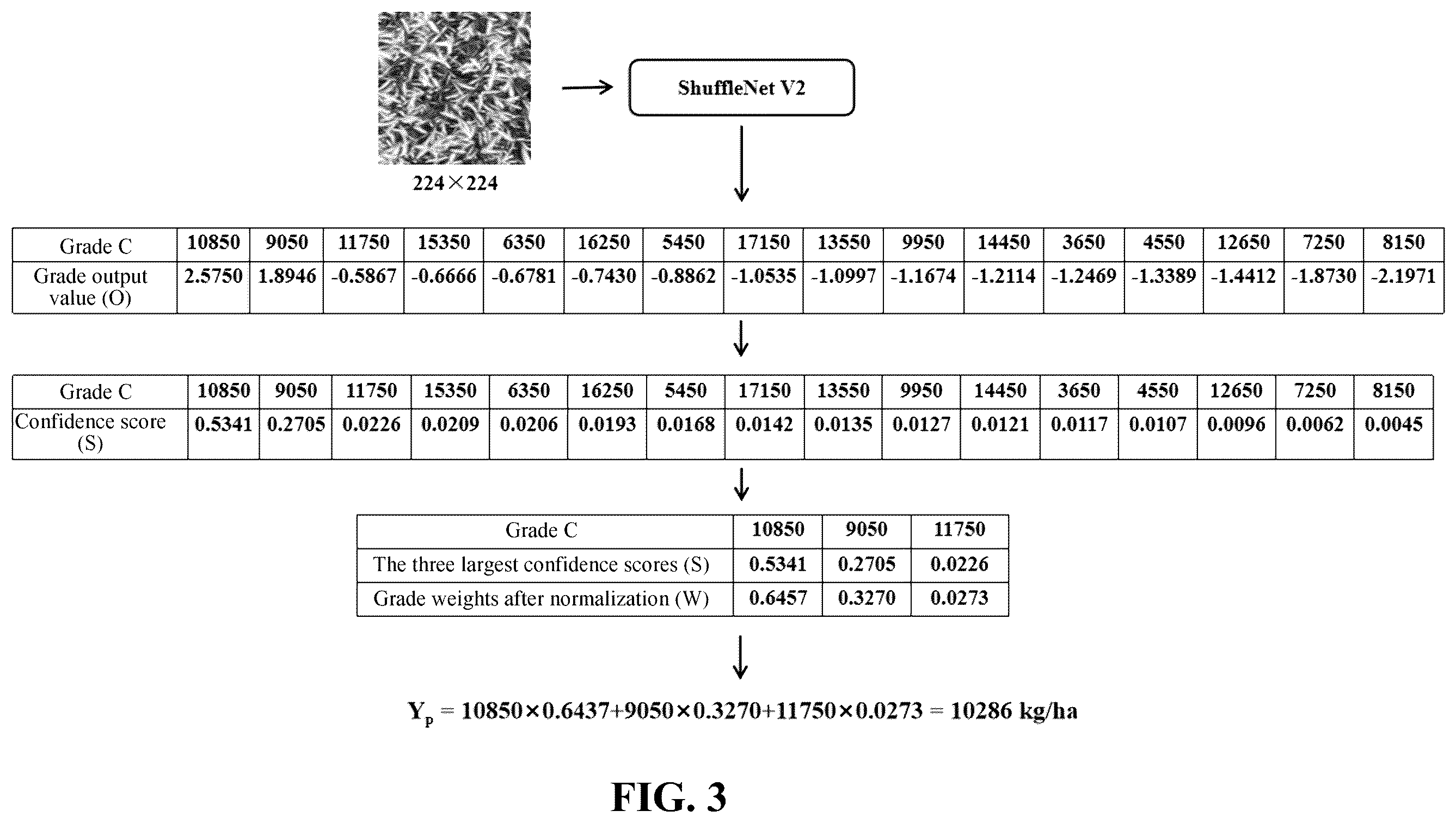 Patent US12457917 Figure 3 – Crop yield estimation method and system based on grade identification and weight decision-making