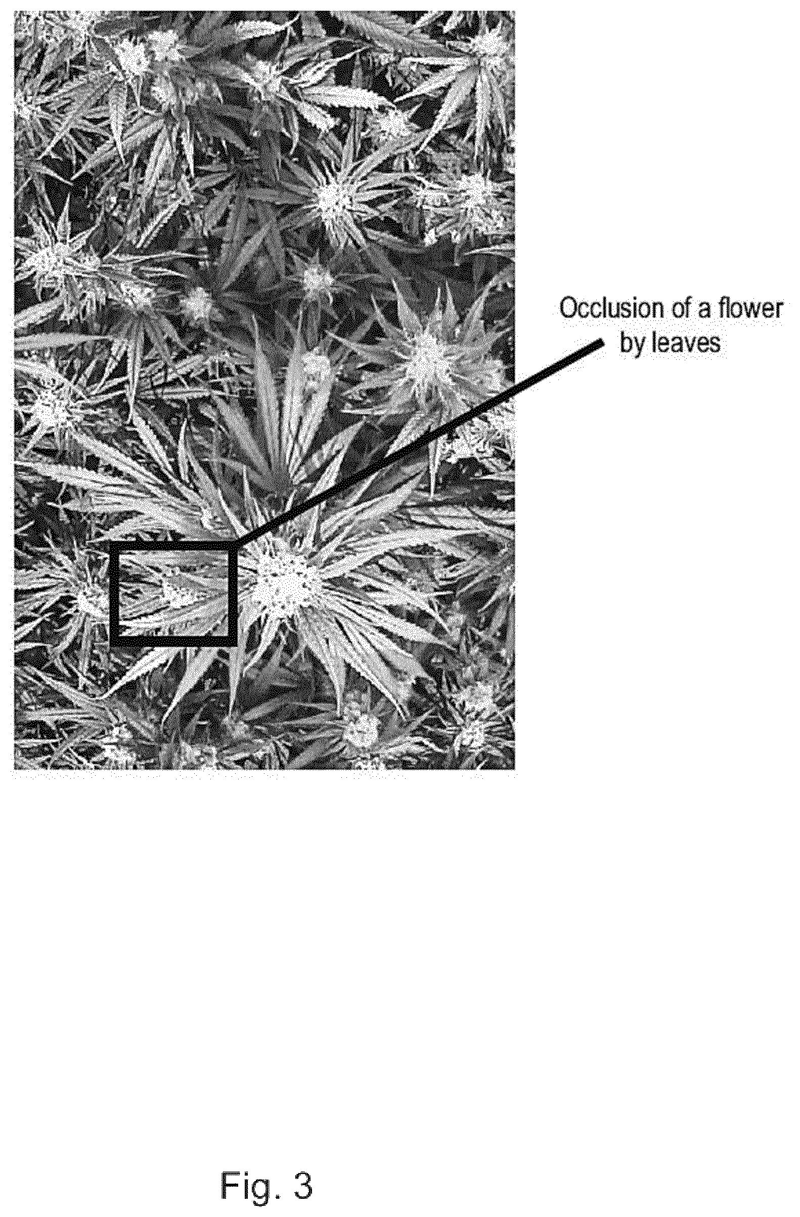 Patent US12457946 Figure 3 – Systems and methods for autonomous monitoring and/or optimization of plant growth