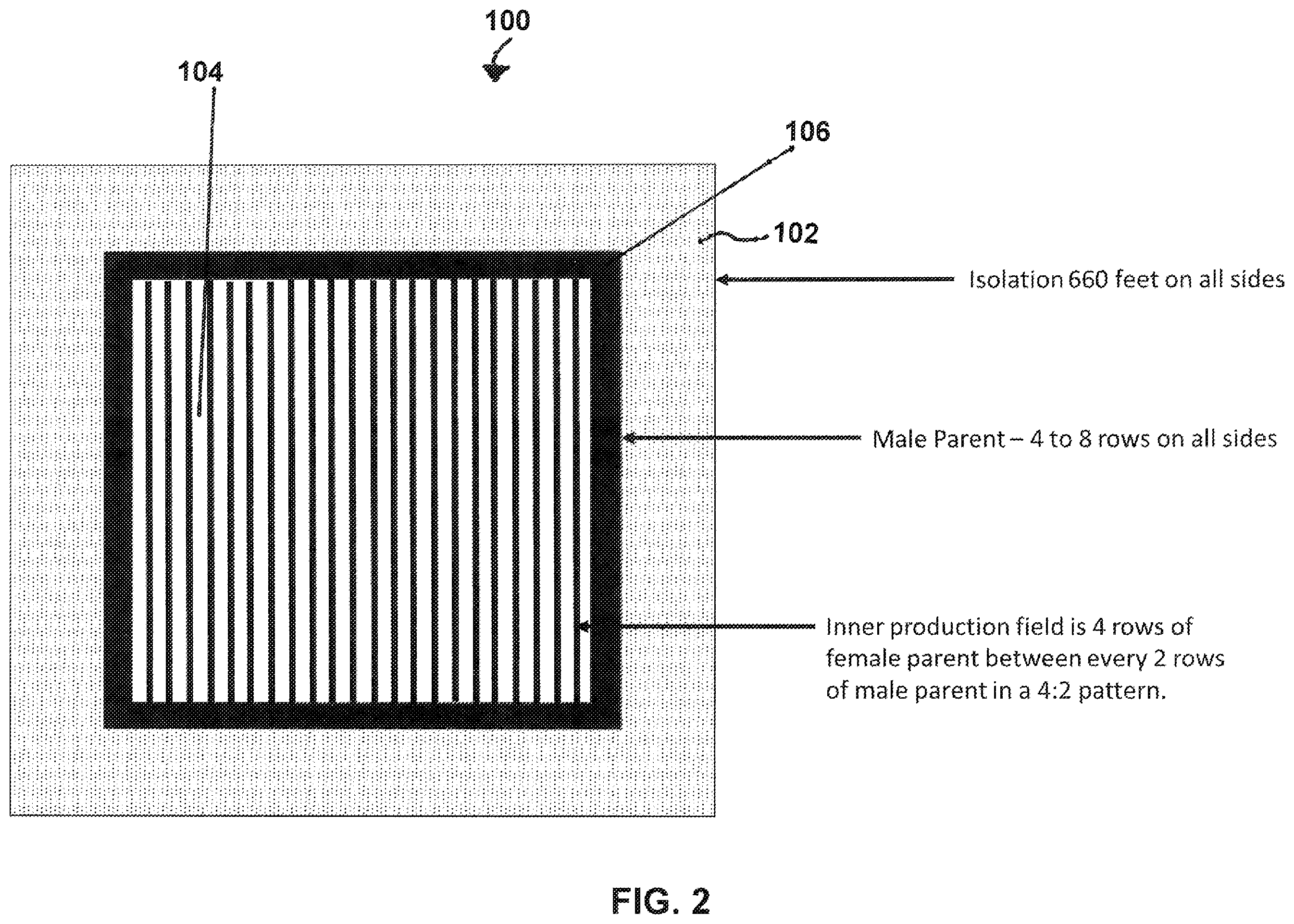 Patent US12457950 Figure 2 – Cereal crop seed production