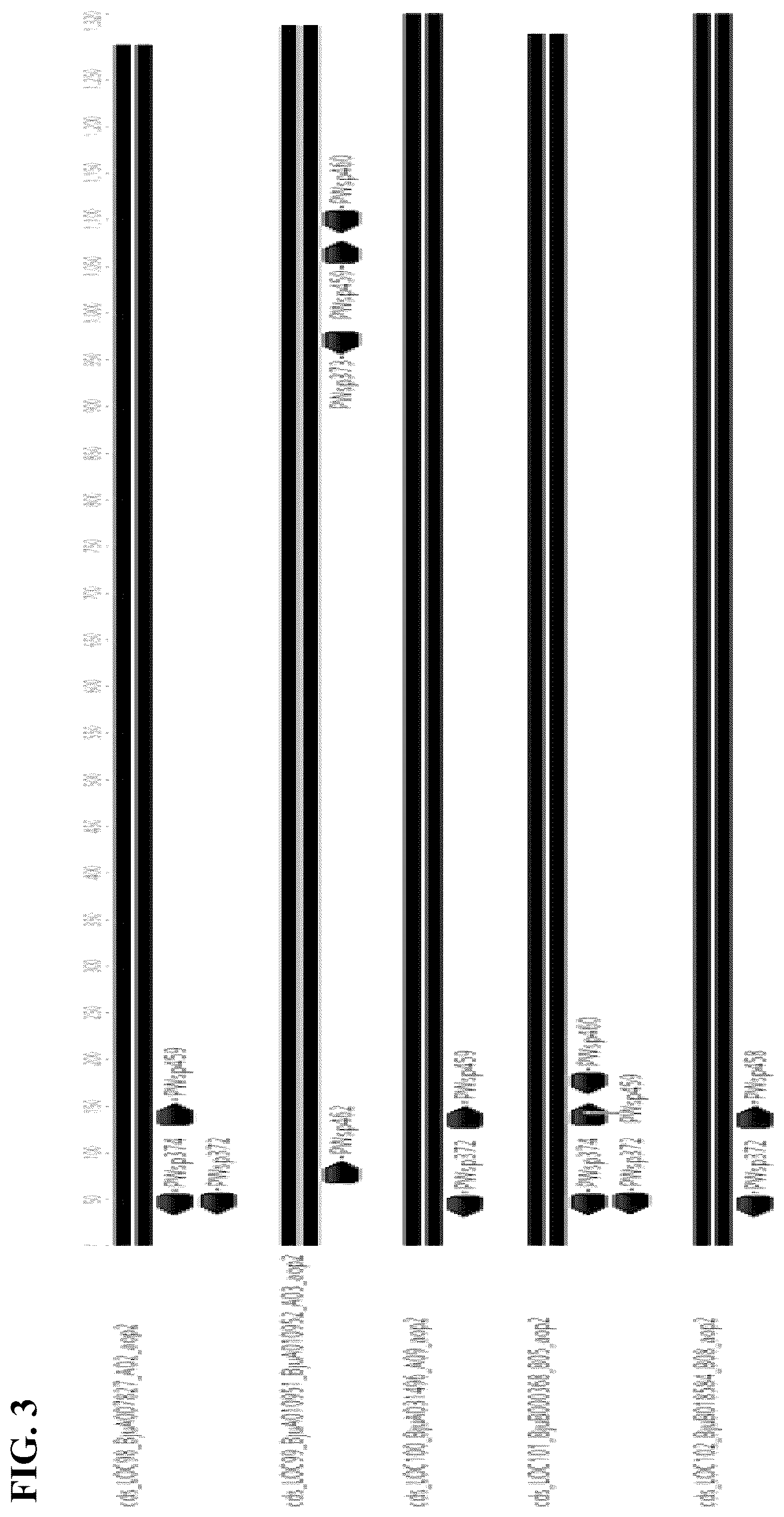 Patent US12457951 Figure 3 – Alteration of flavor traits in consumer crops via disablement of the myrosinase/glucosinolate system