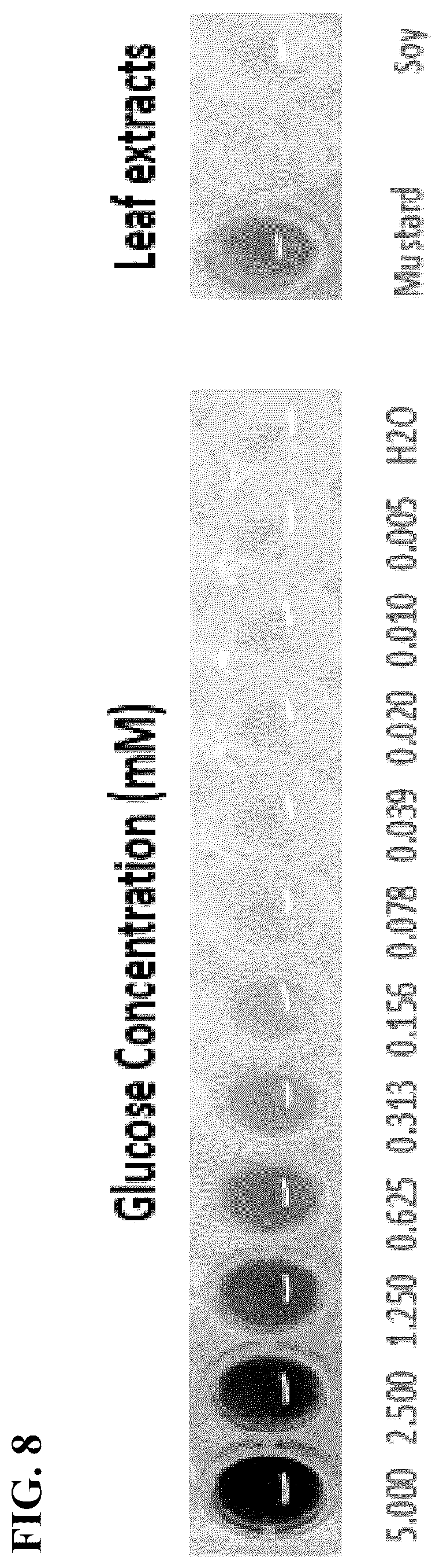 Patent US12457951 Figure 8 – Alteration of flavor traits in consumer crops via disablement of the myrosinase/glucosinolate system