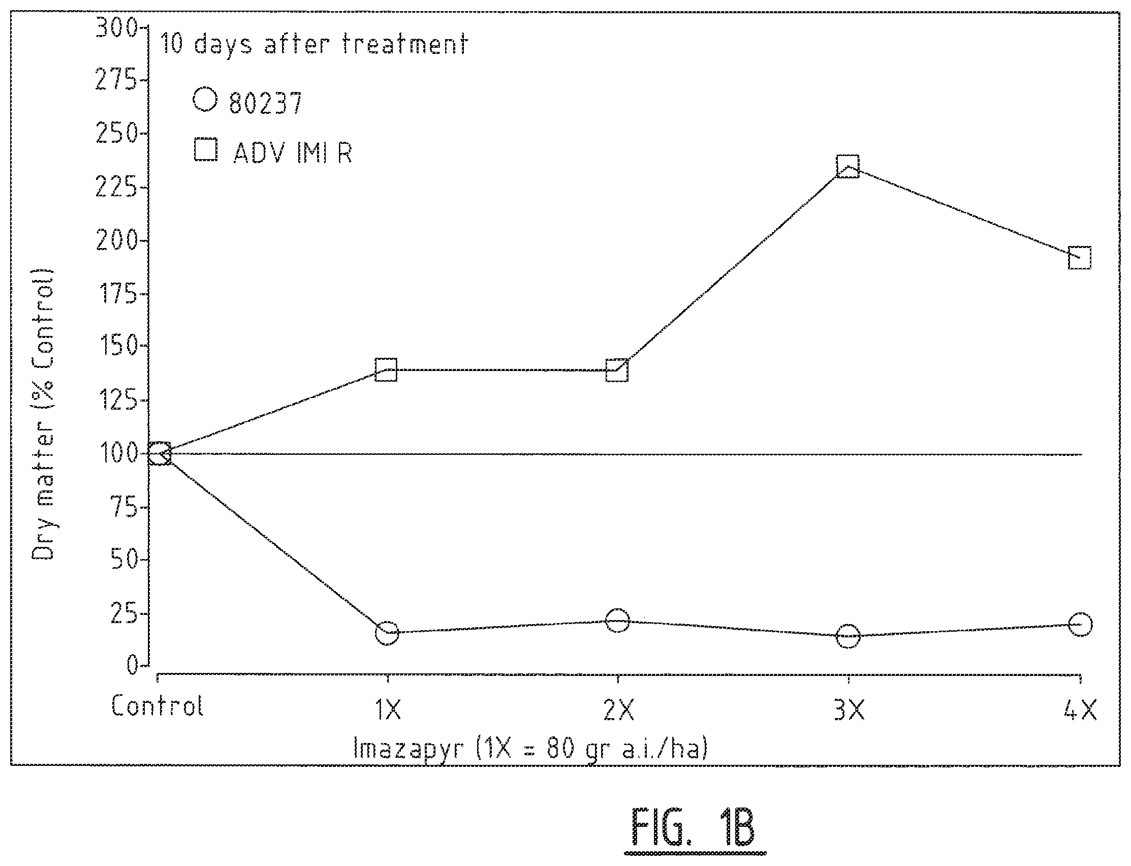 Patent US12457954 Figure 2 – Sorghum plants having a mutant polynucleotide encoding the large subunit of mutated acetohydroxyacid synthase protein and increased resistance to herbicides