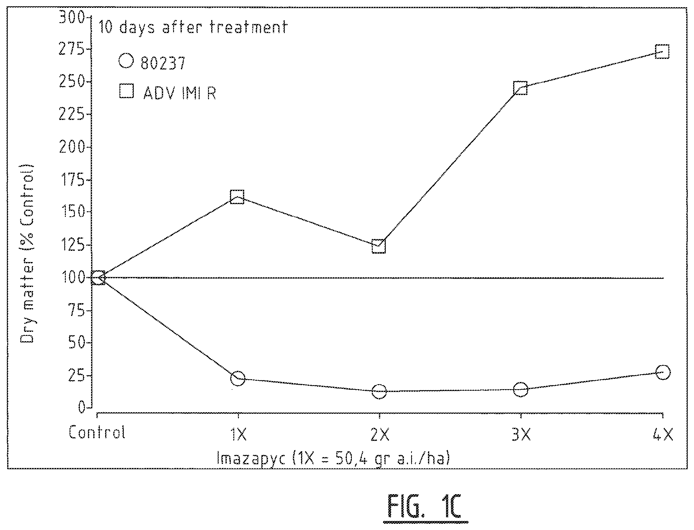 Patent US12457954 Figure 3 – Sorghum plants having a mutant polynucleotide encoding the large subunit of mutated acetohydroxyacid synthase protein and increased resistance to herbicides