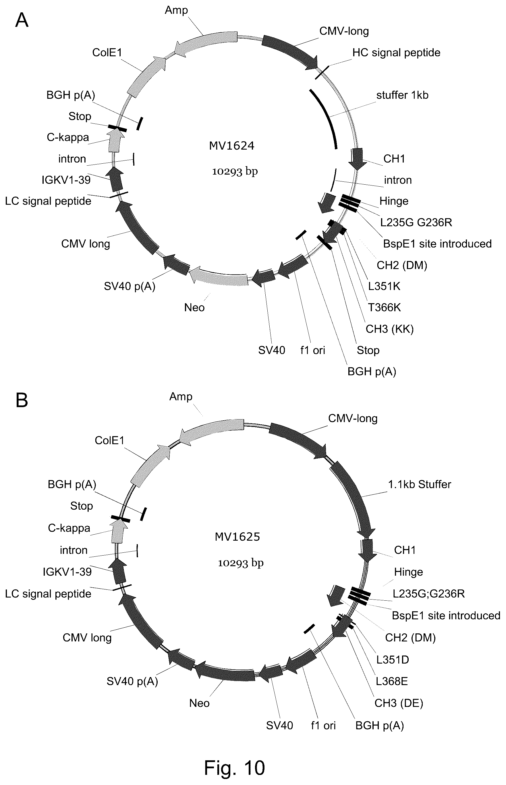 Patent US12460002 Figure 10 – CD3 binding molecules