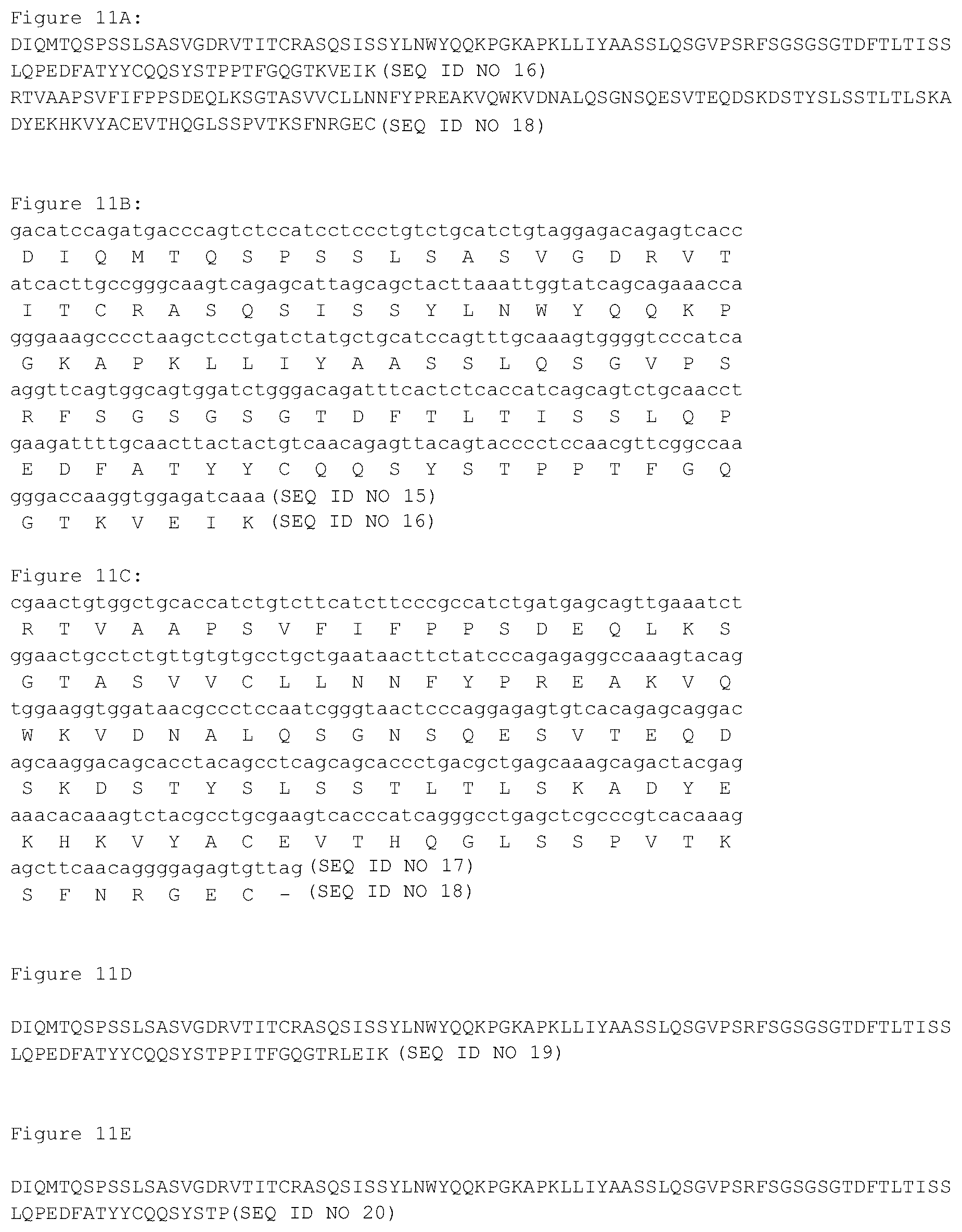 Patent US12460002 Figure 11 – CD3 binding molecules