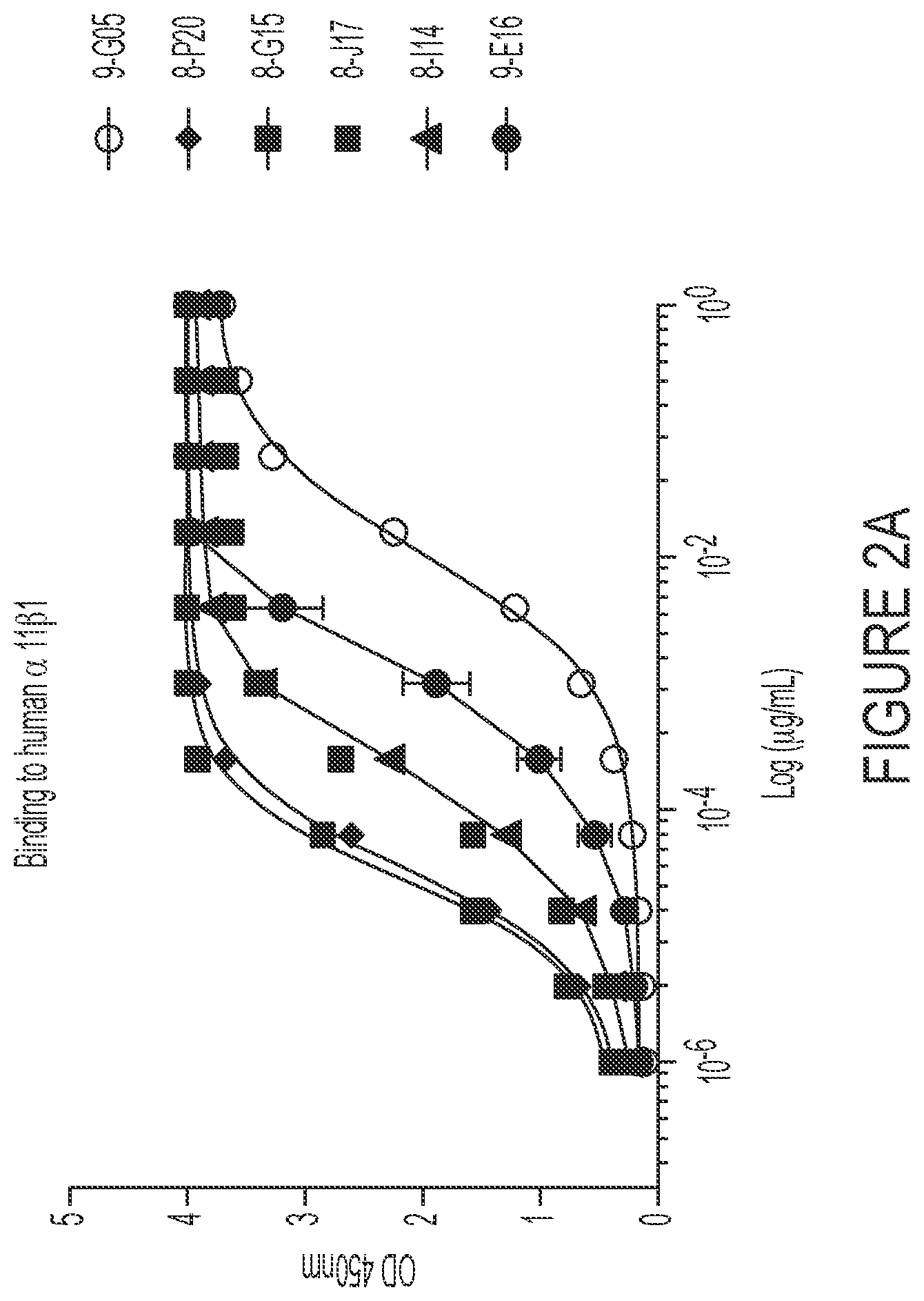 Patent US12460006 Figure 2 – Antibodies against integrin alpha 11 beta 1
