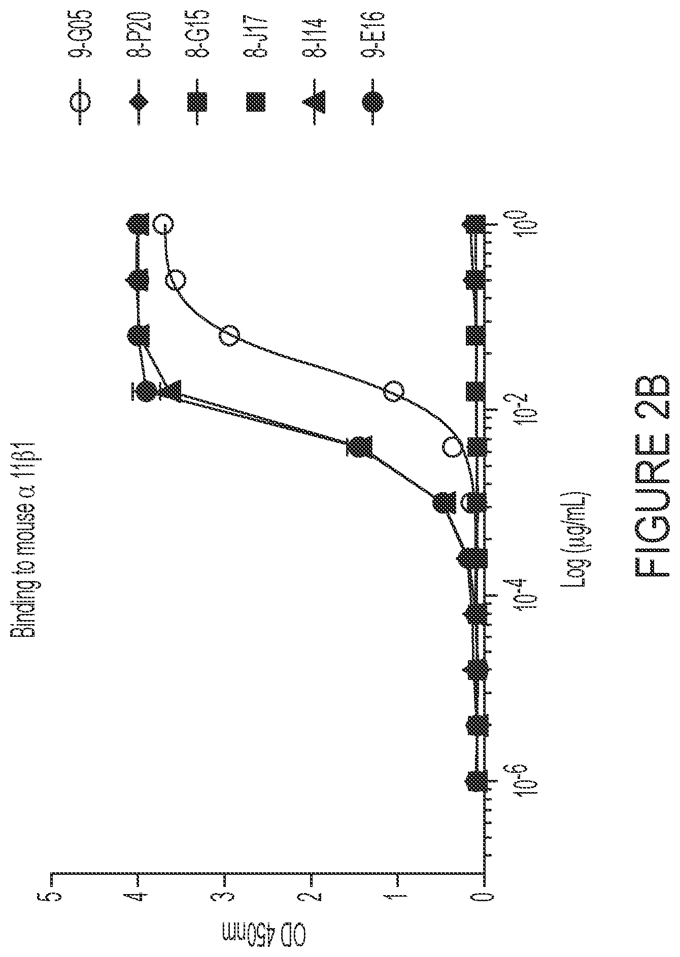 Patent US12460006 Figure 3 – Antibodies against integrin alpha 11 beta 1