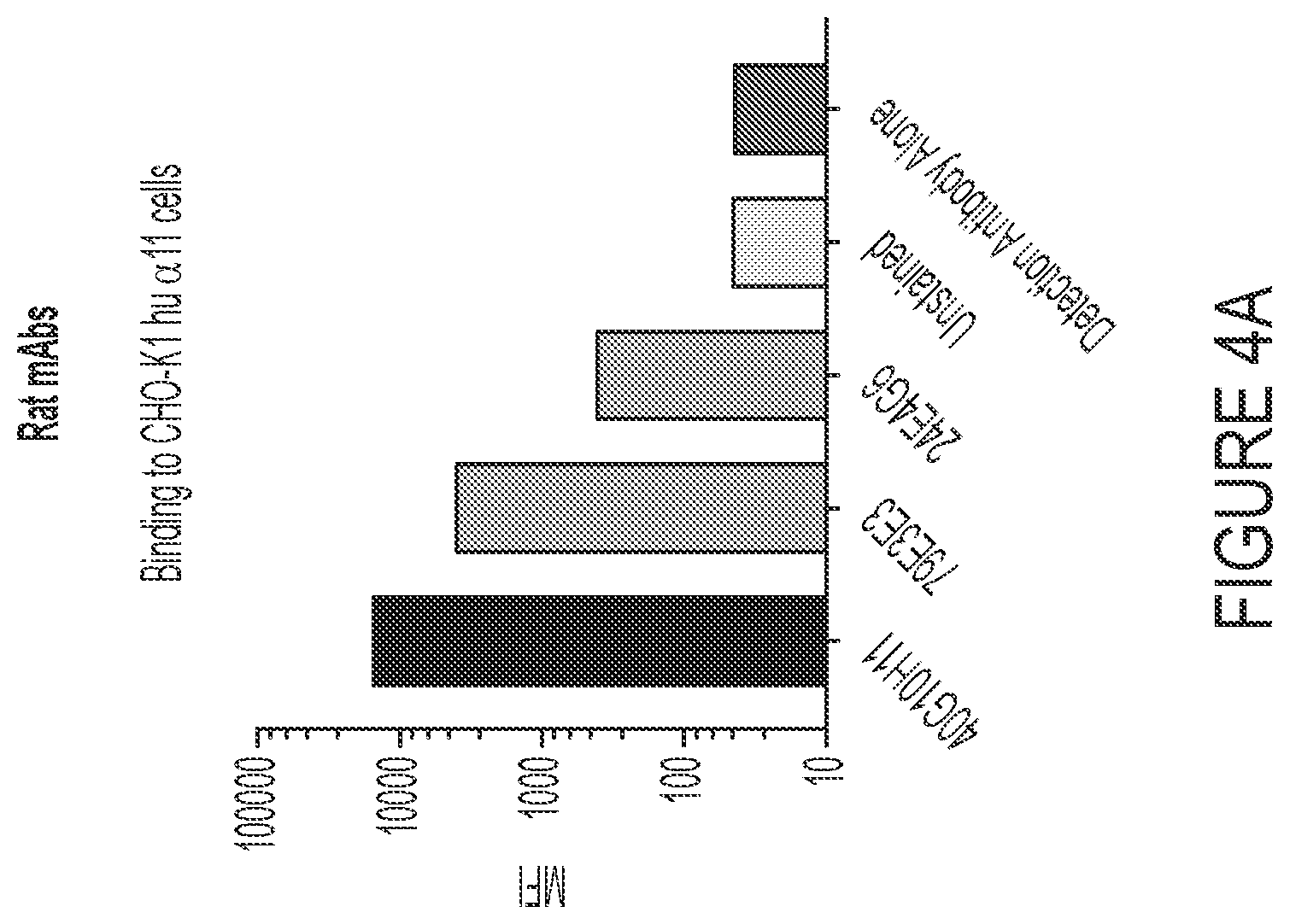 Patent US12460006 Figure 6 – Antibodies against integrin alpha 11 beta 1