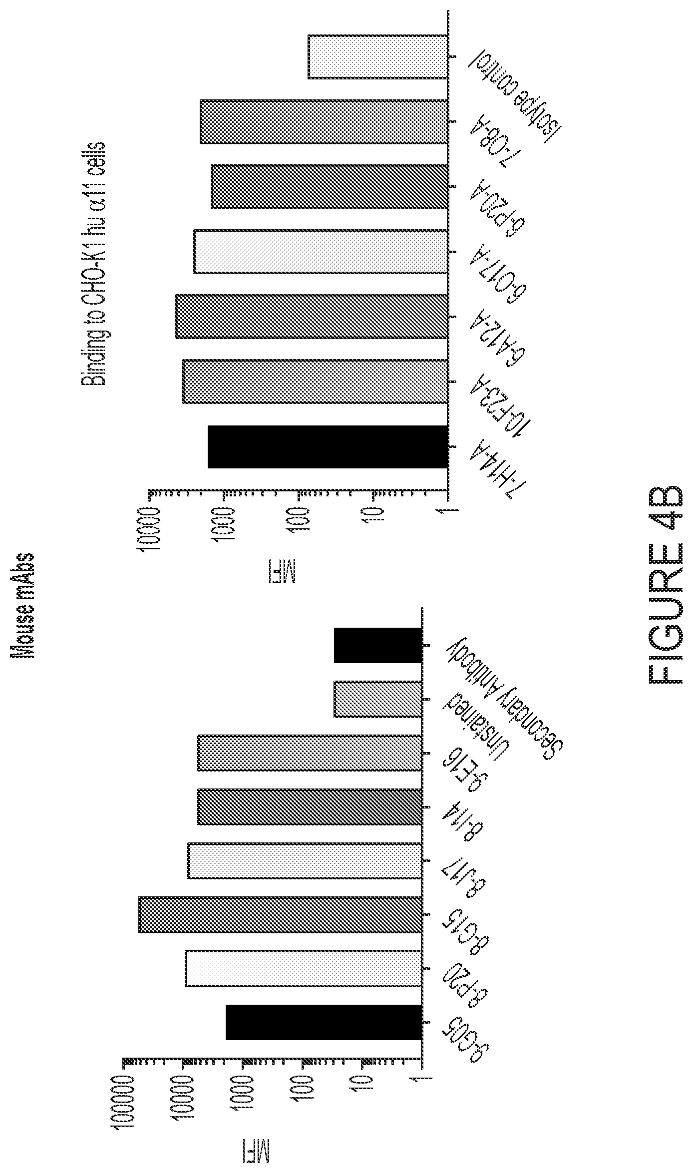Patent US12460006 Figure 7 – Antibodies against integrin alpha 11 beta 1