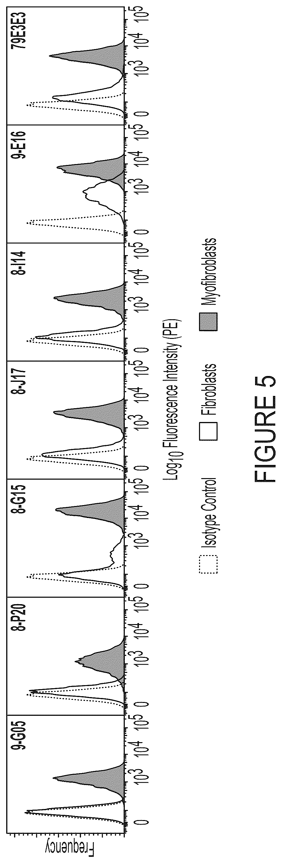 Patent US12460006 Figure 8 – Antibodies against integrin alpha 11 beta 1