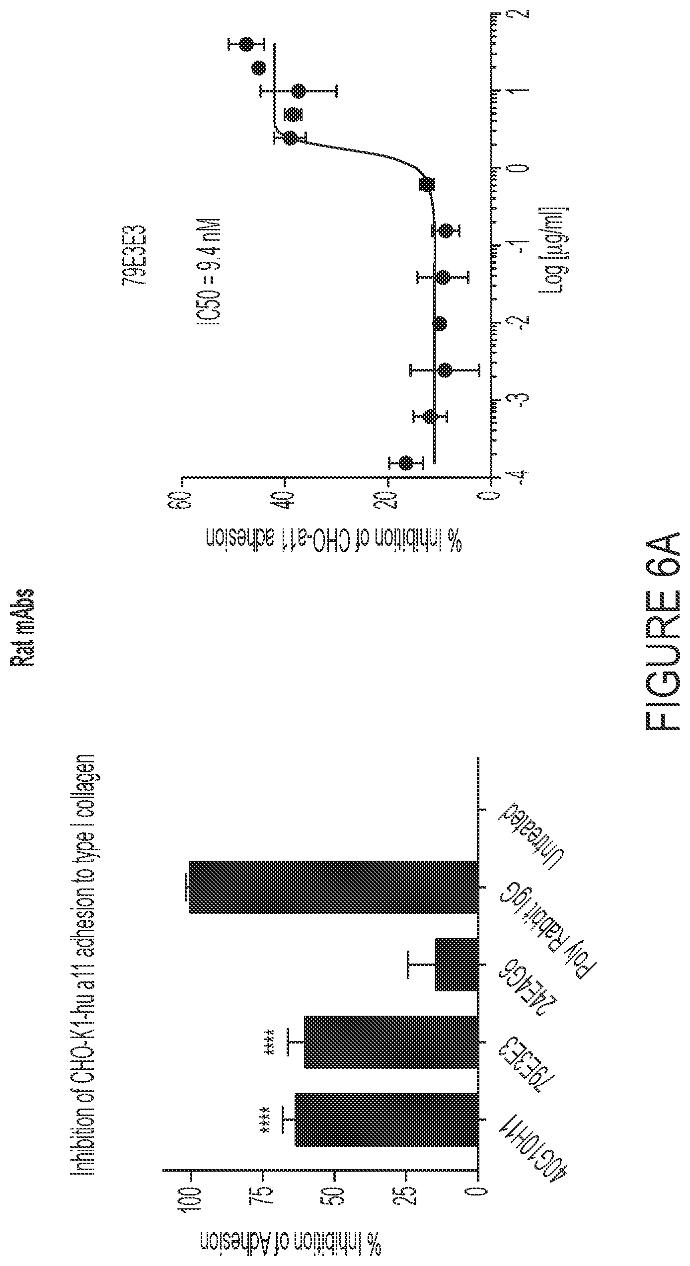 Patent US12460006 Figure 9 – Antibodies against integrin alpha 11 beta 1