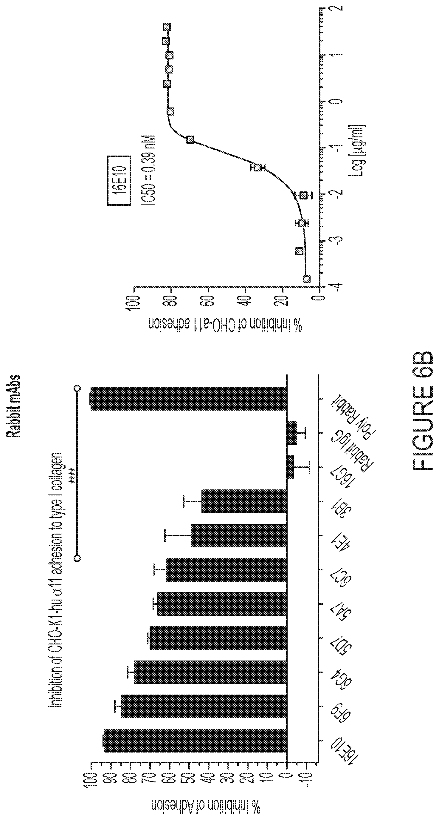 Patent US12460006 Figure 10 – Antibodies against integrin alpha 11 beta 1