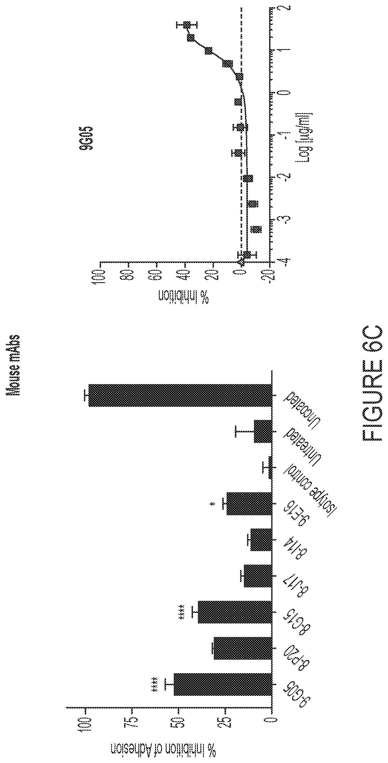Patent US12460006 Figure 11 – Antibodies against integrin alpha 11 beta 1