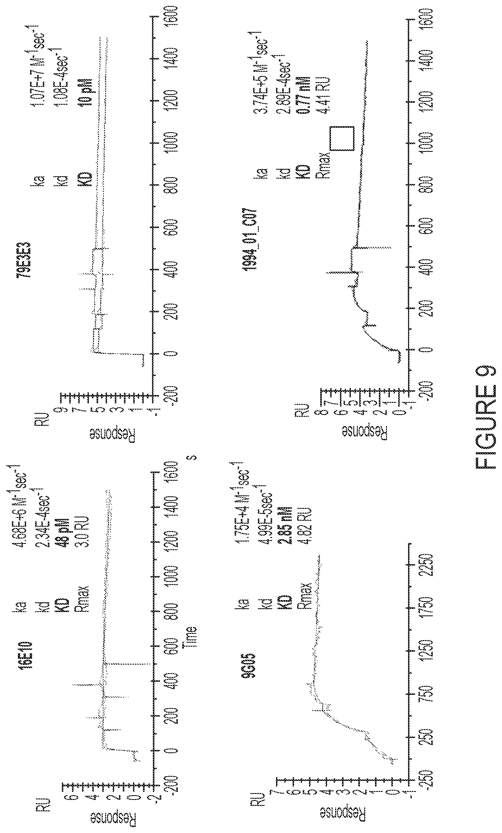 Patent US12460006 Figure 16 – Antibodies against integrin alpha 11 beta 1