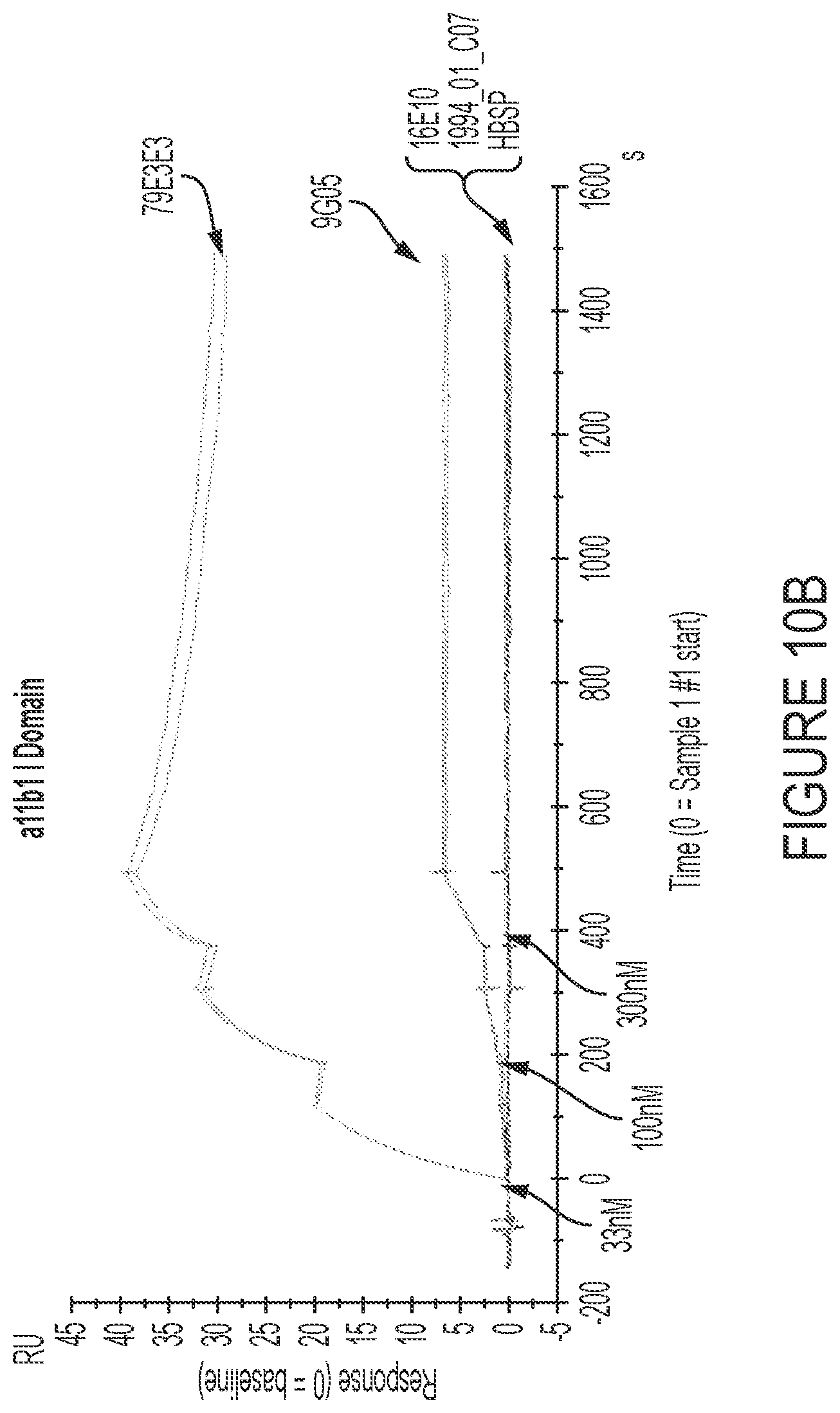 Patent US12460006 Figure 18 – Antibodies against integrin alpha 11 beta 1