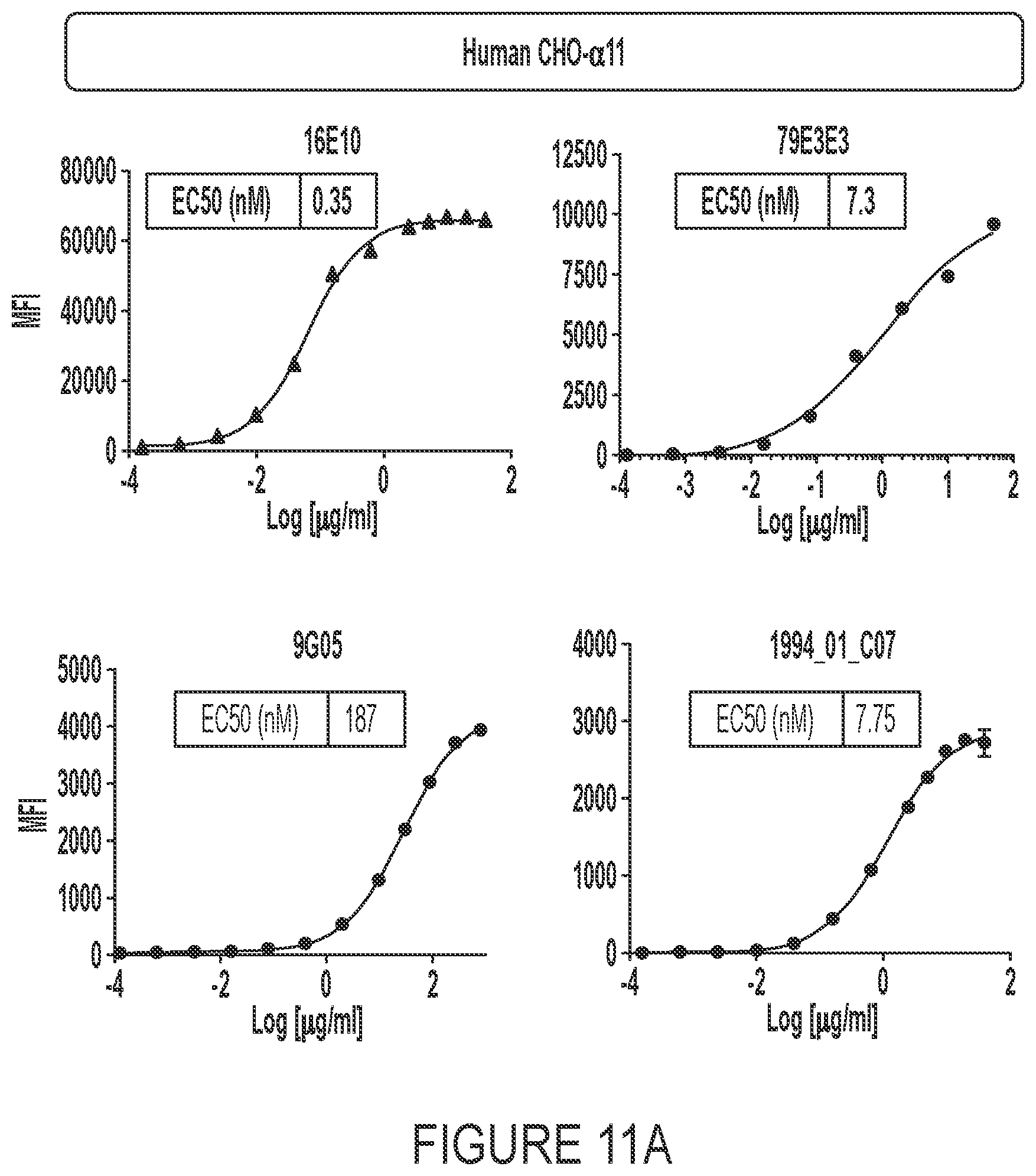Patent US12460006 Figure 19 – Antibodies against integrin alpha 11 beta 1