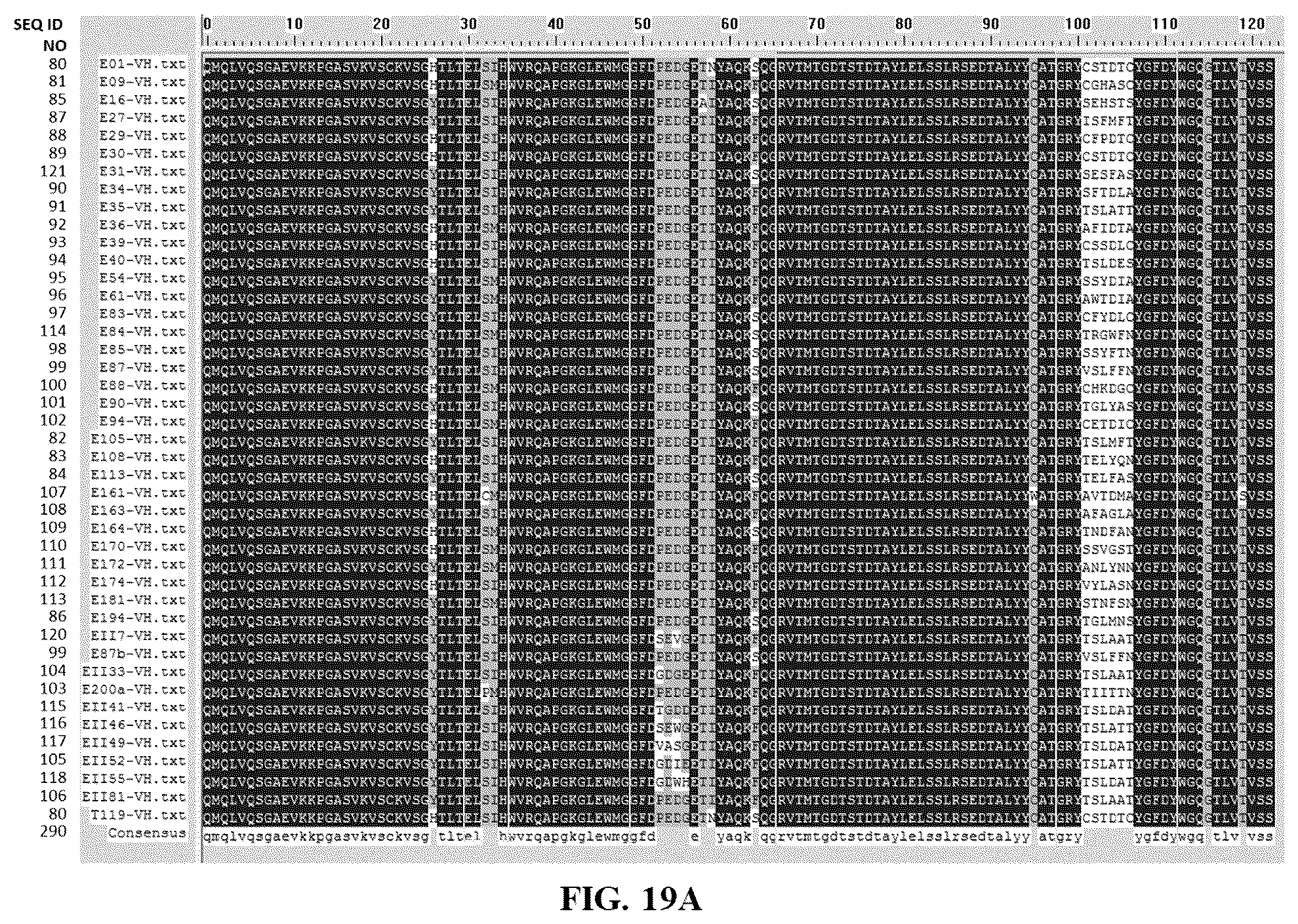 Patent US12460008 Figure 20 – Antibodies specifically recognizing granulocyte-macrophage colony stimulating factor receptor alpha and uses thereof