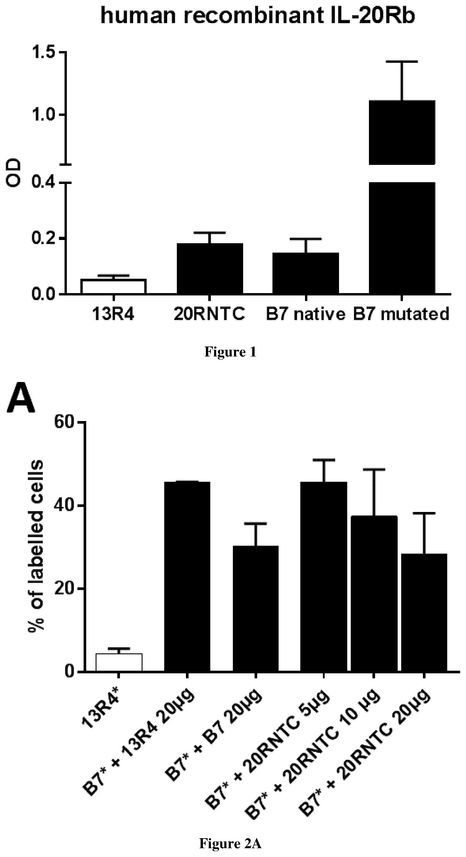 Patent US12460009 Figure 1 – Monoclonal antibodies specific for IL20-Rb, encoding nucleic acids thereof and methods of use thereof to treat bacterial-induced exacerbation of chronic obstructive pulmonary disease
