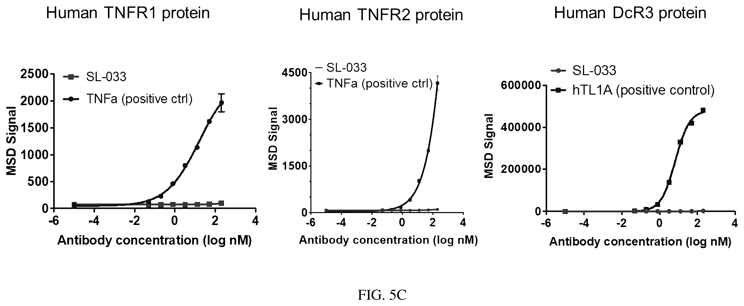 Patent US12460010 Figure 10 – Antibodies that bind TNFRSF25