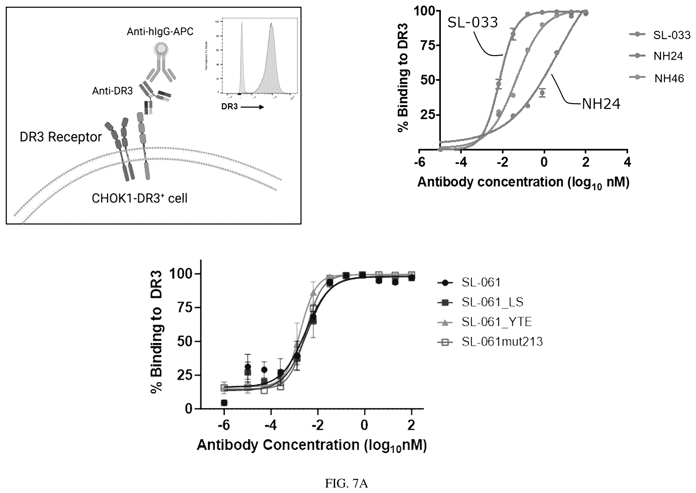 Patent US12460010 Figure 13 – Antibodies that bind TNFRSF25