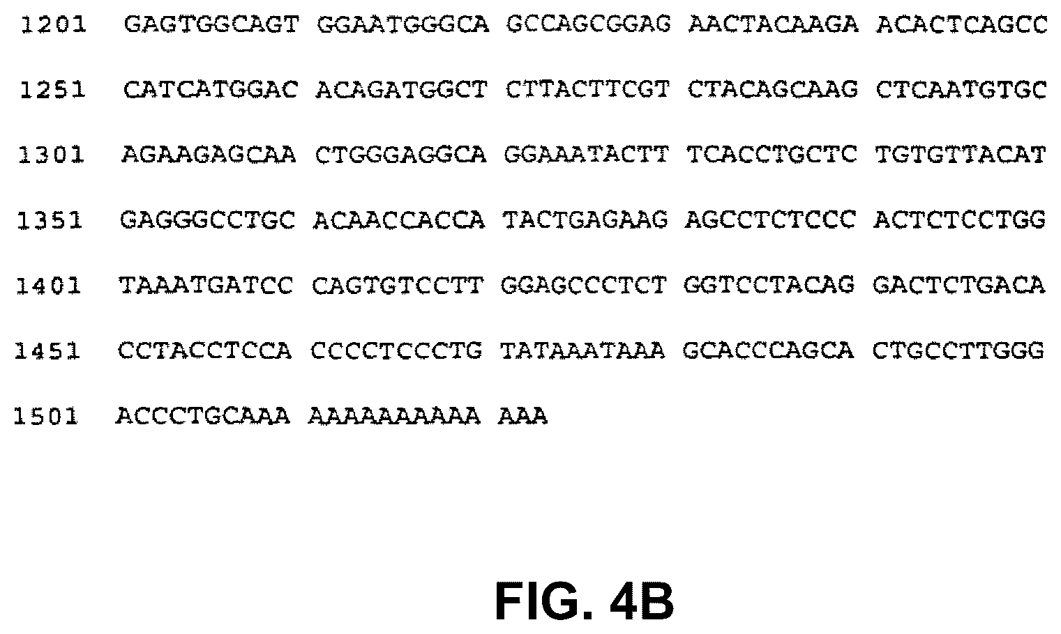 Patent US12460013 Figure 5 – Recombinant monoclonal antibodies and corresponding antigens for colon and pancreatic cancers