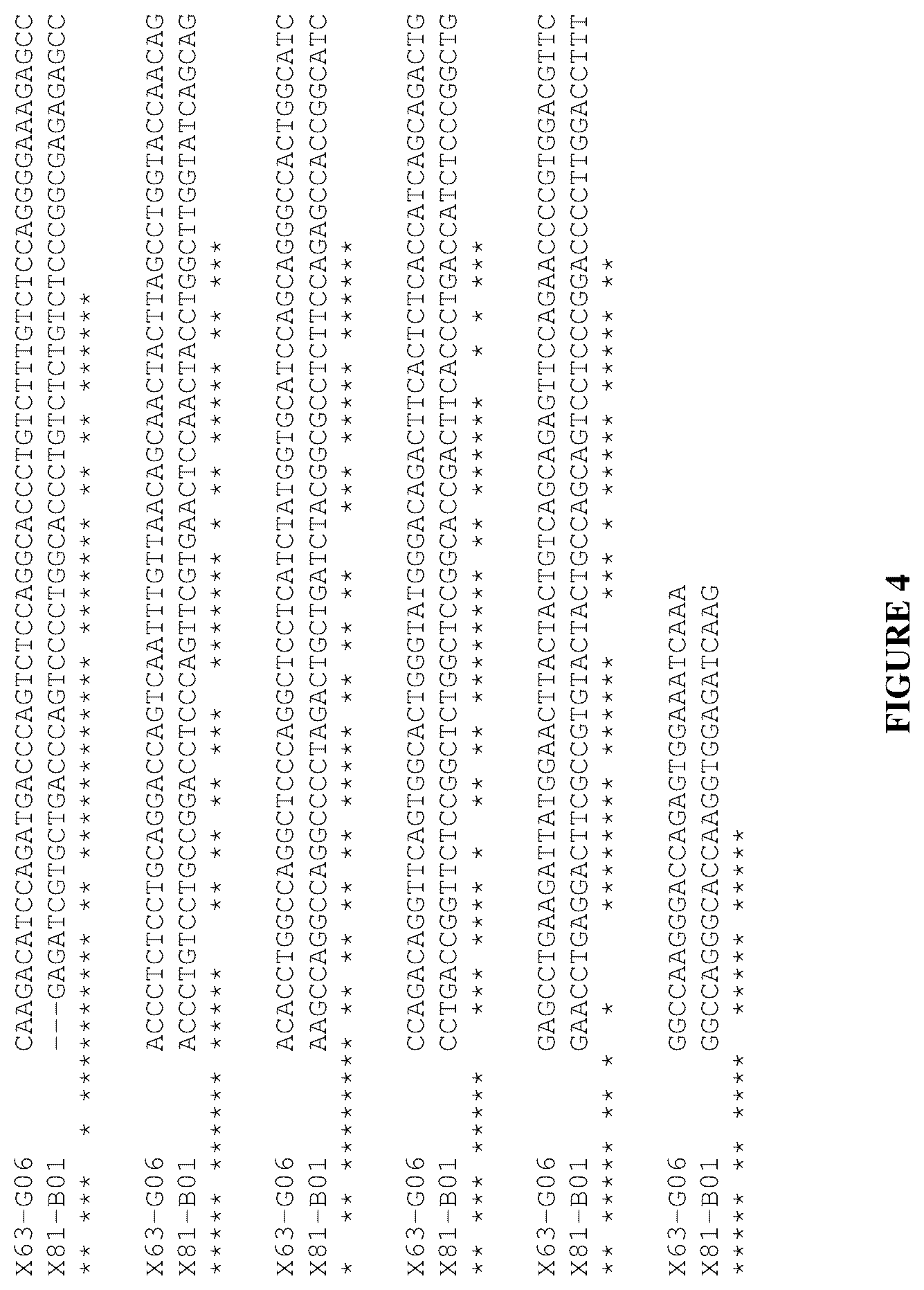 Patent US12460016 Figure 4 – Plasma kallikrein binding proteins
