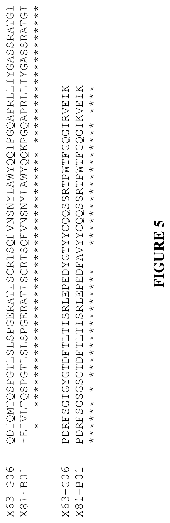 Patent US12460016 Figure 5 – Plasma kallikrein binding proteins