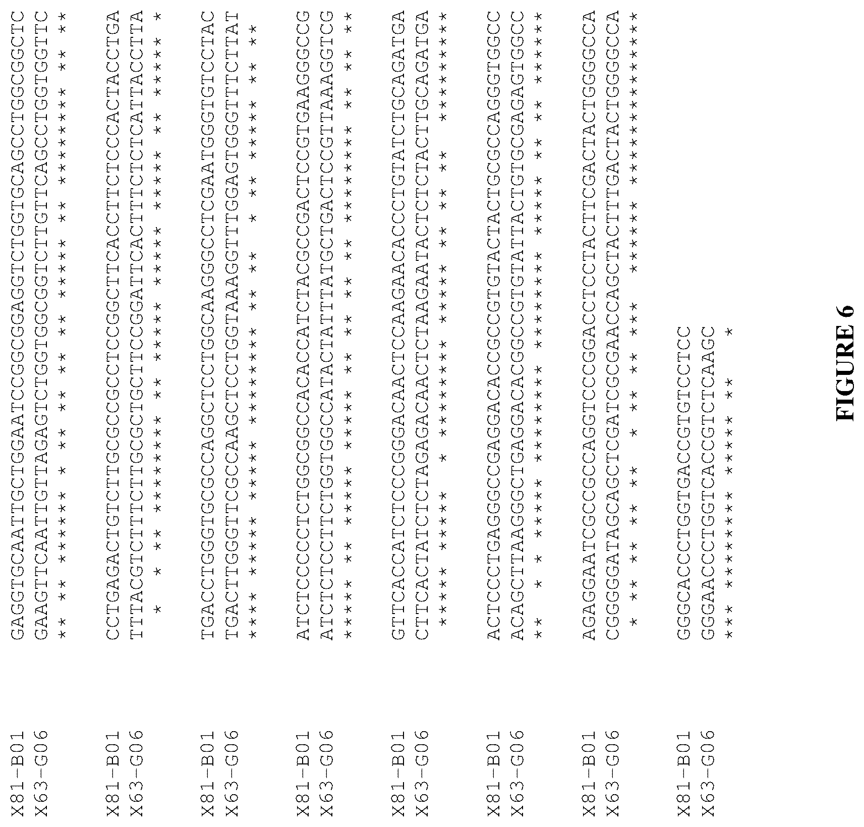 Patent US12460016 Figure 6 – Plasma kallikrein binding proteins