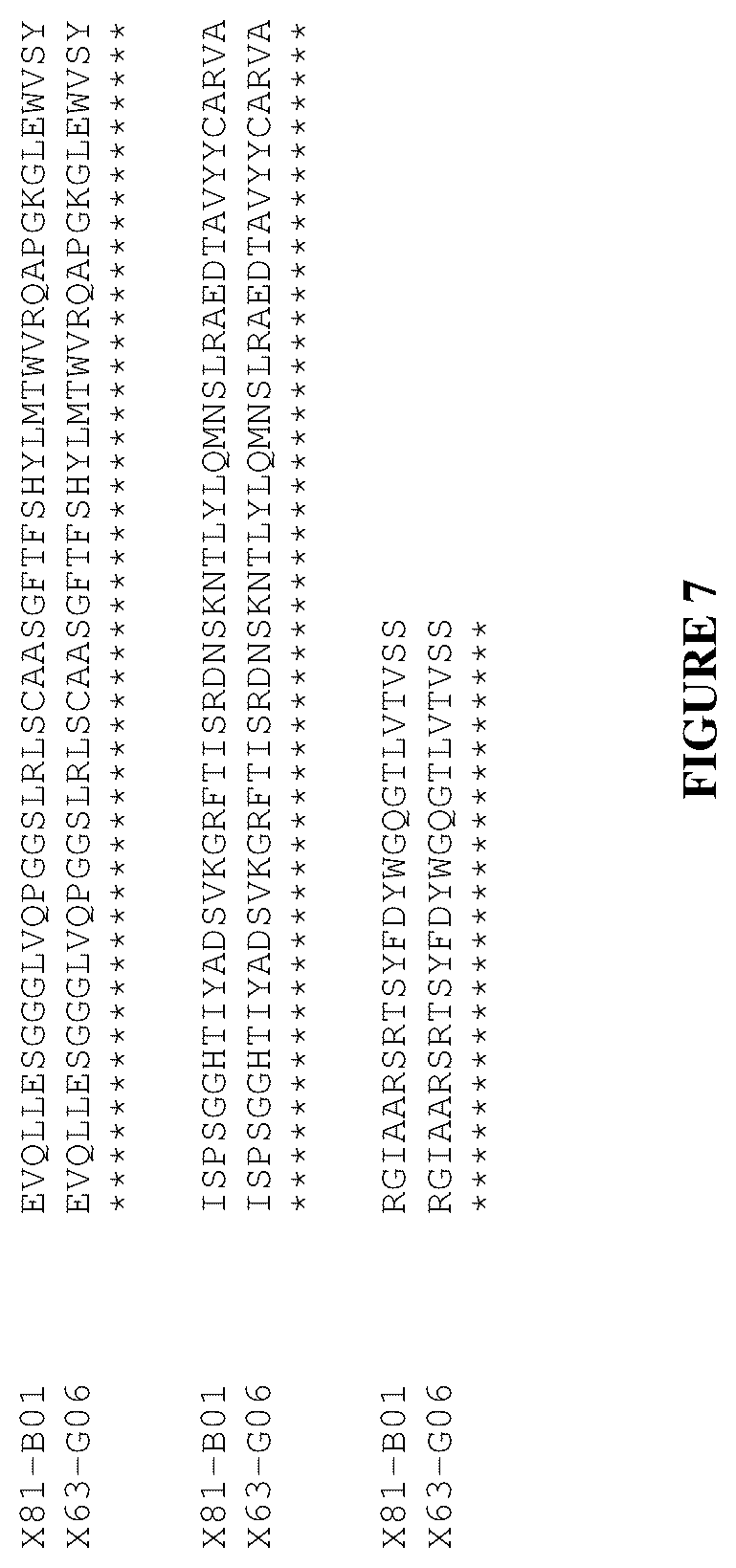 Patent US12460016 Figure 7 – Plasma kallikrein binding proteins