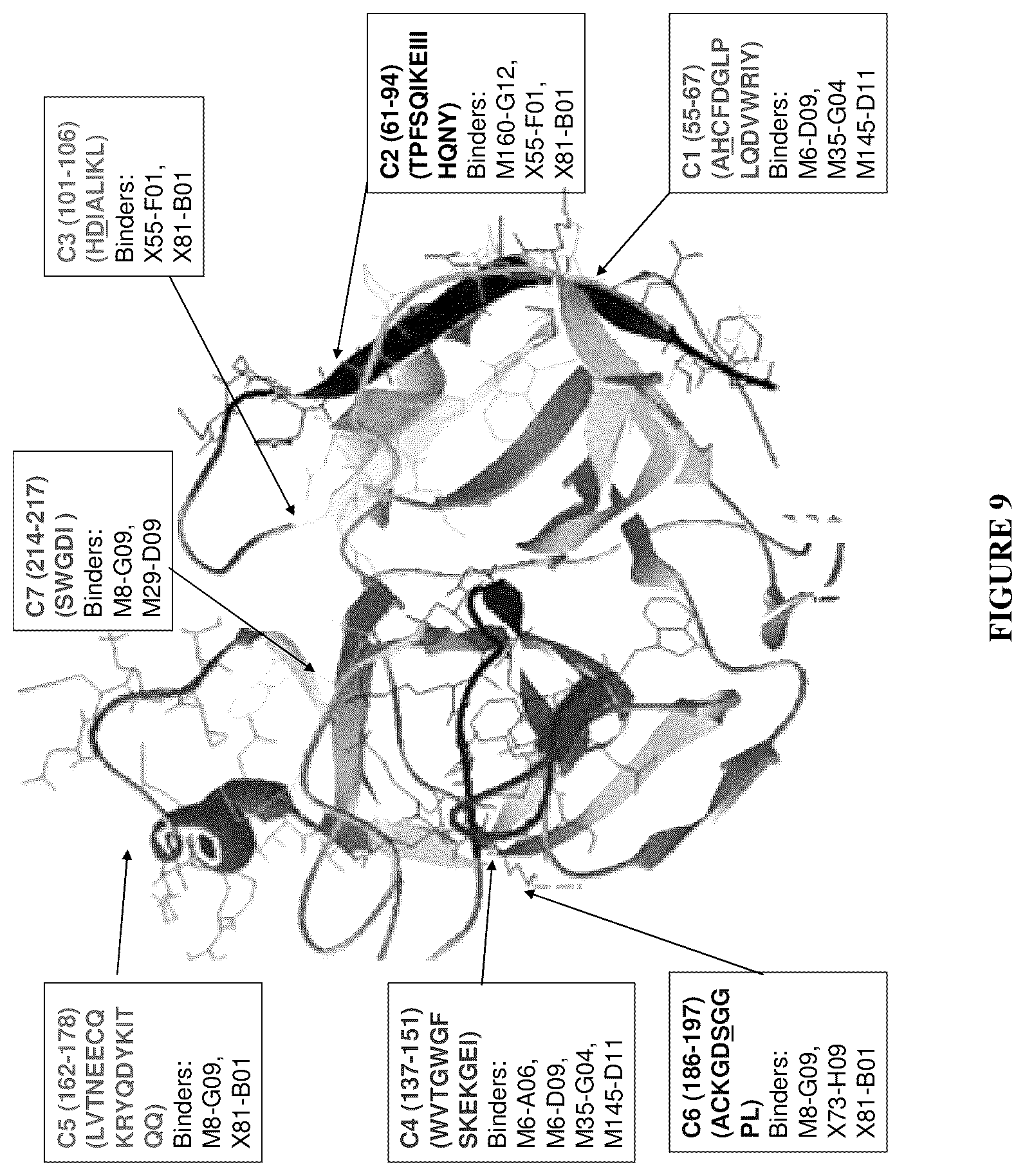 Patent US12460016 Figure 10 – Plasma kallikrein binding proteins